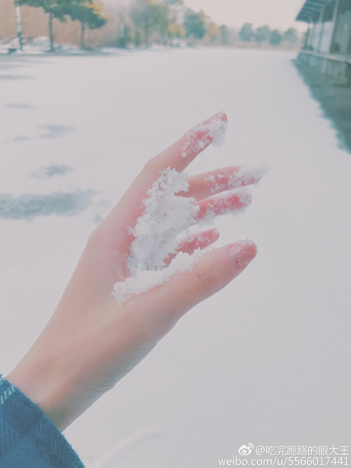 眼酱大魔王w 合集2 - 2-微博_第2集