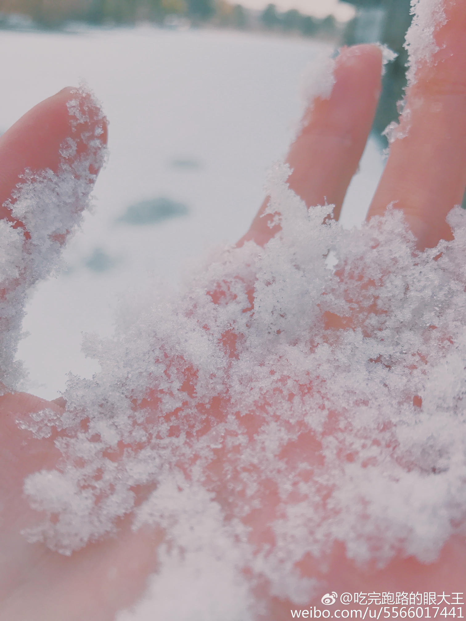 眼酱大魔王w 合集2 - 2-微博_第3集