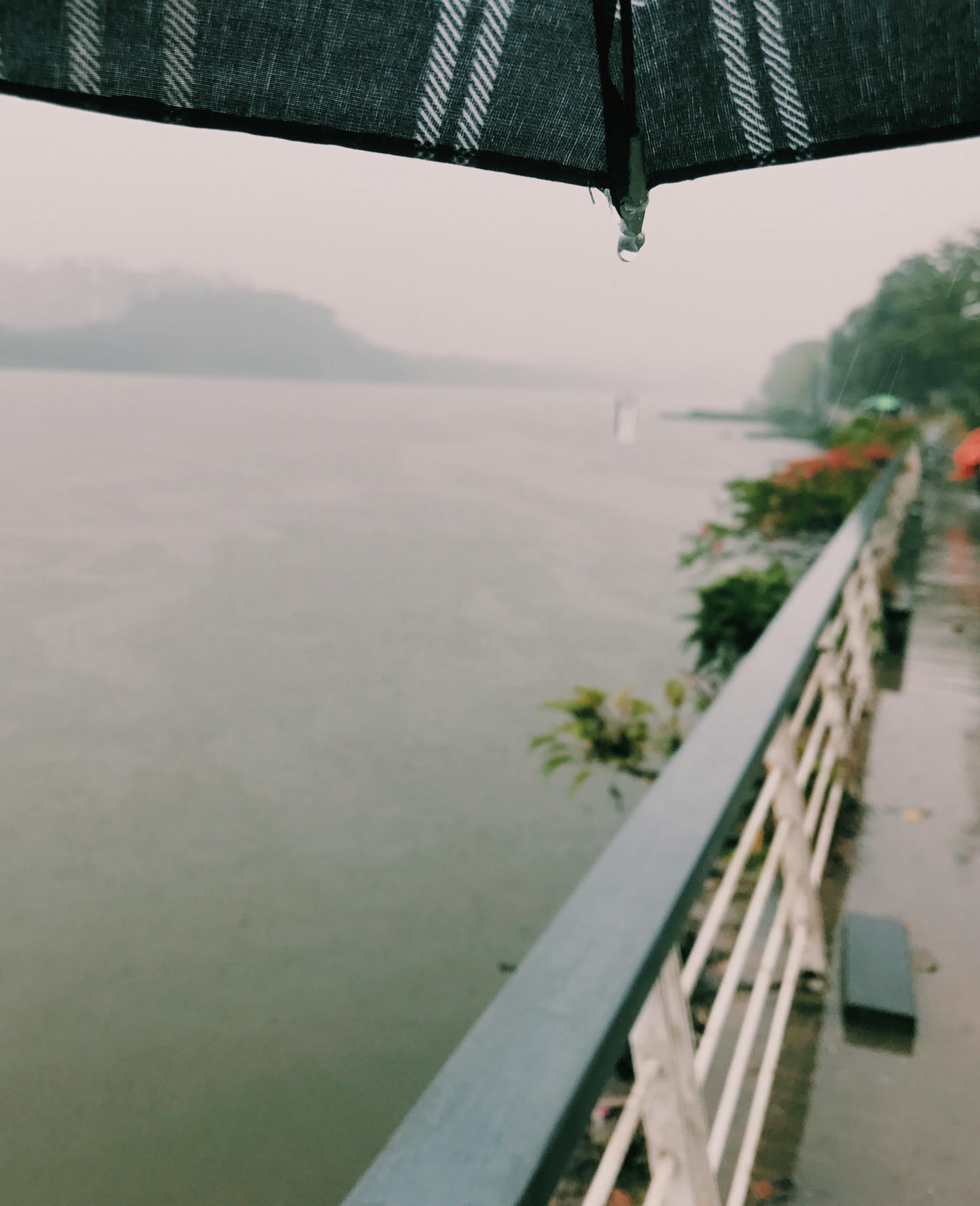 眼酱大魔王w 合集2 - 2-脸照和杂图_第7集