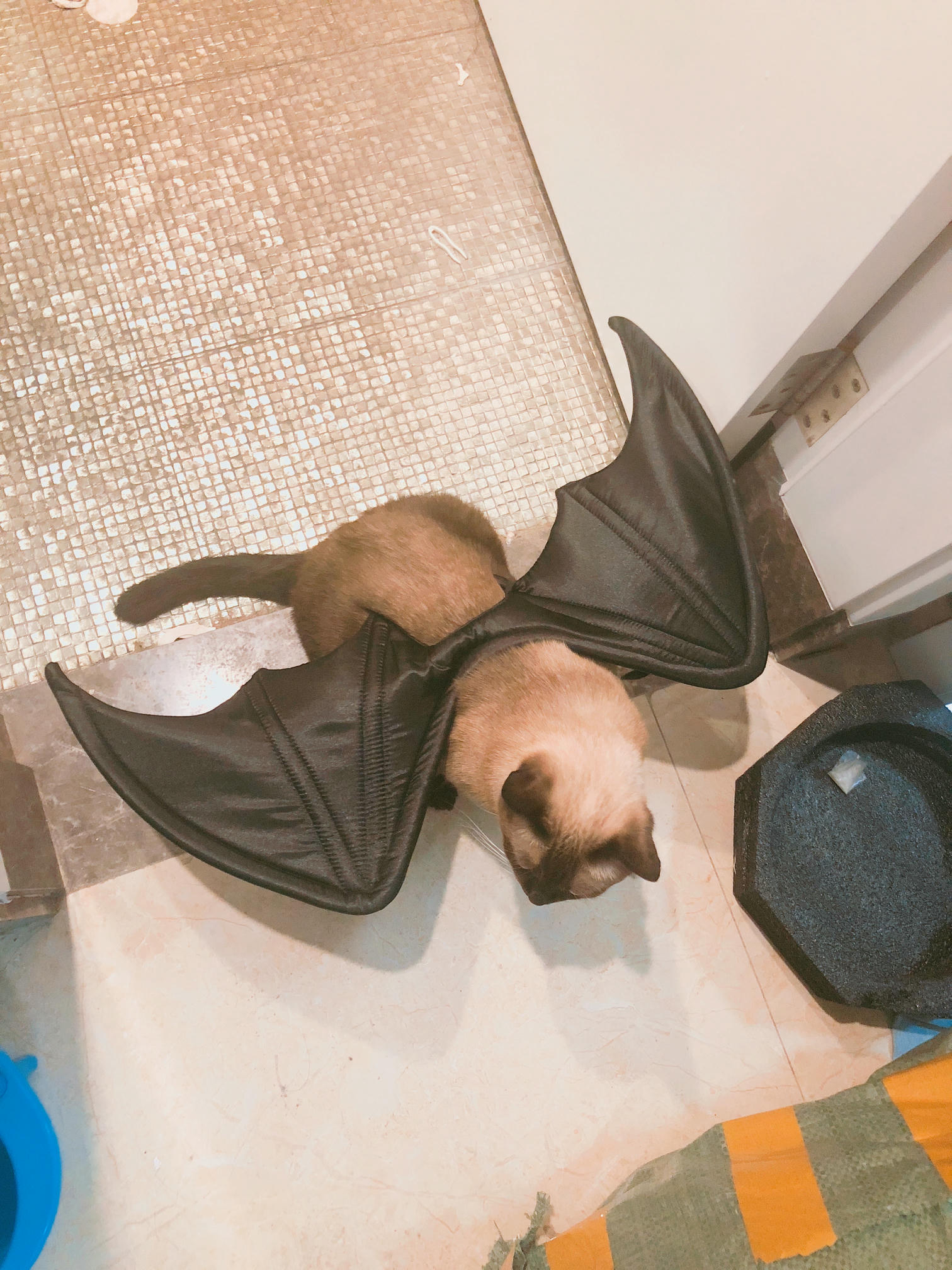 眼酱大魔王w 合集2 - 2-脸照和杂图_第9集