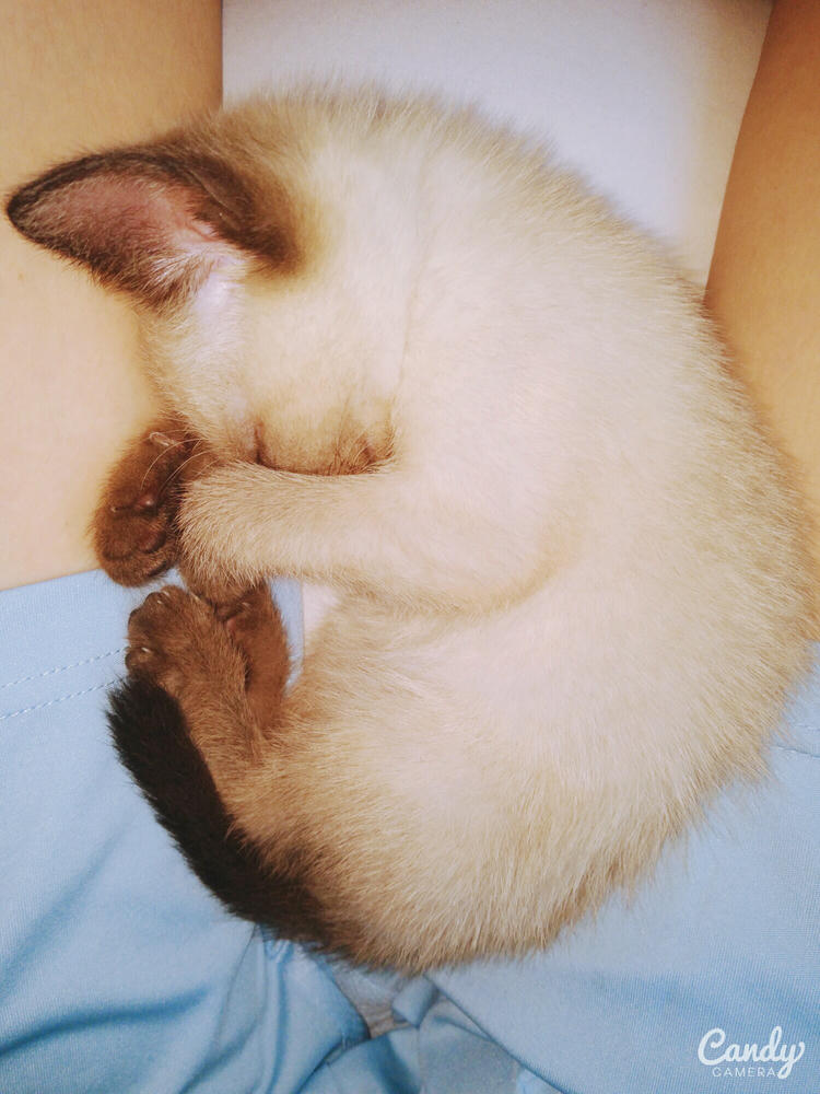 眼酱大魔王w 合集2 - 2-脸照和杂图_第10集