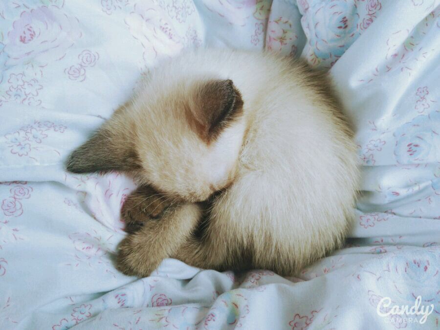 眼酱大魔王w 合集2 - 2-脸照和杂图_第10集