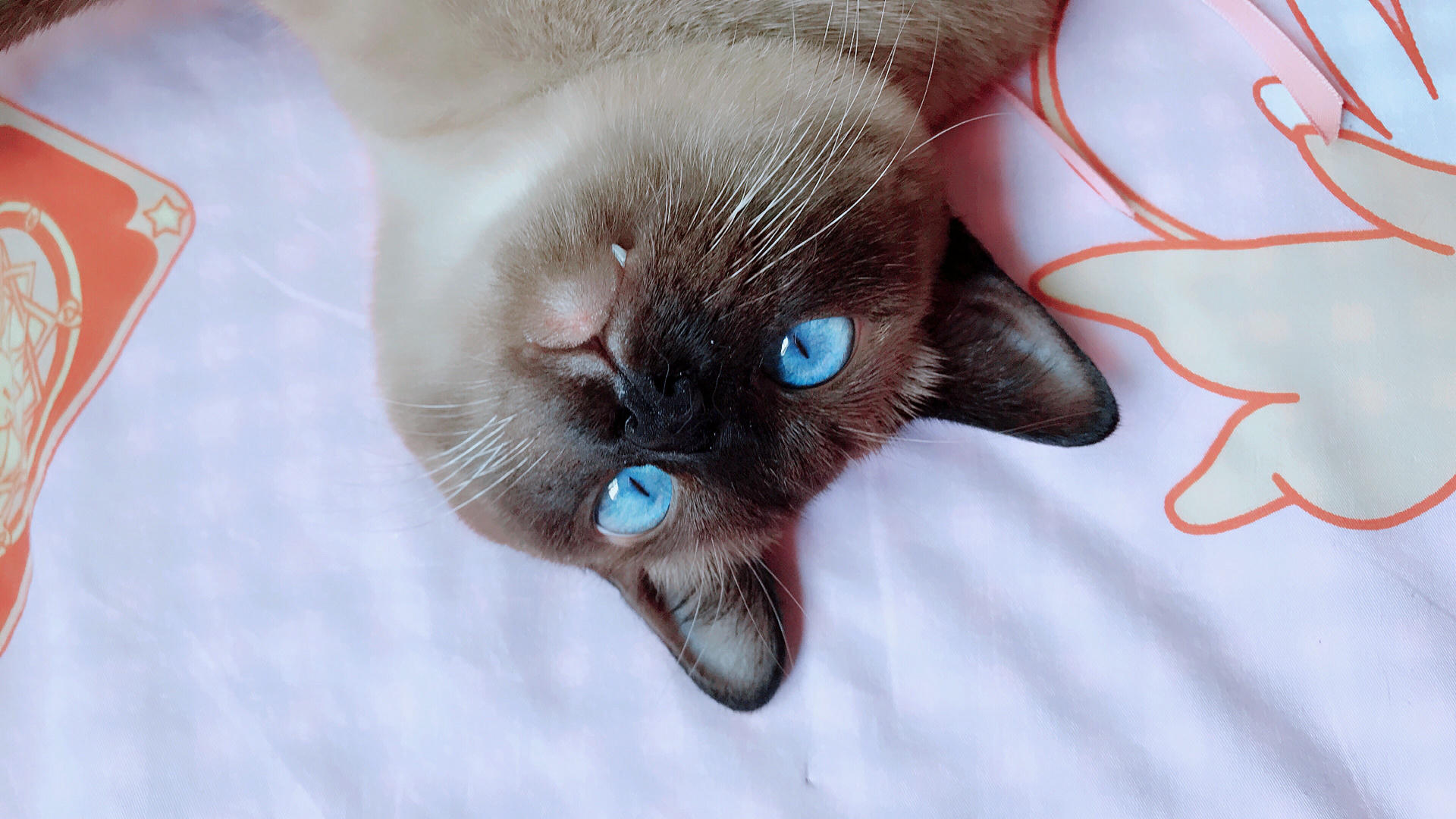 眼酱大魔王w 合集2 - 2-脸照和杂图_第11集