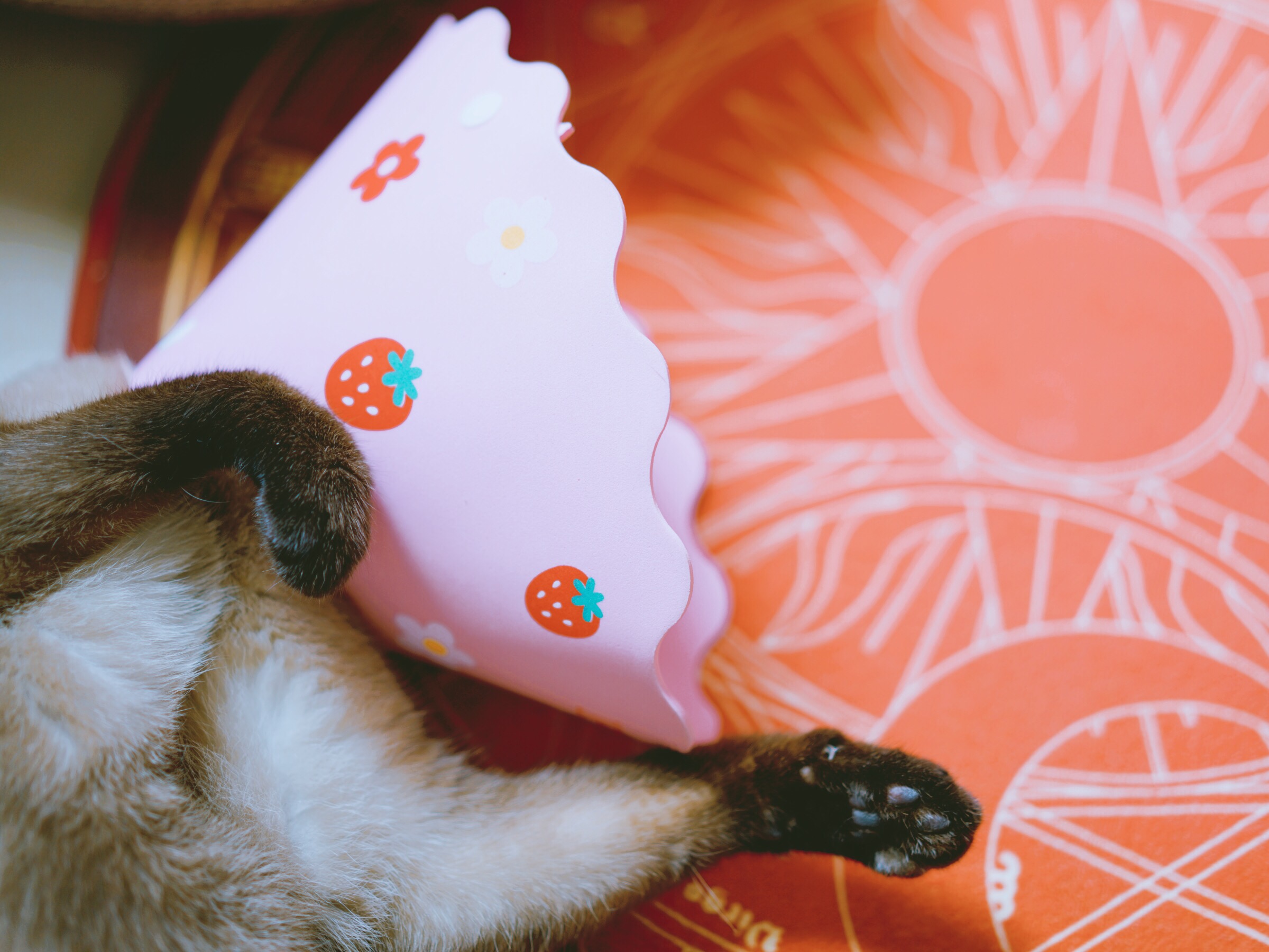 眼酱大魔王w 合集2 - 2-脸照和杂图_第13集