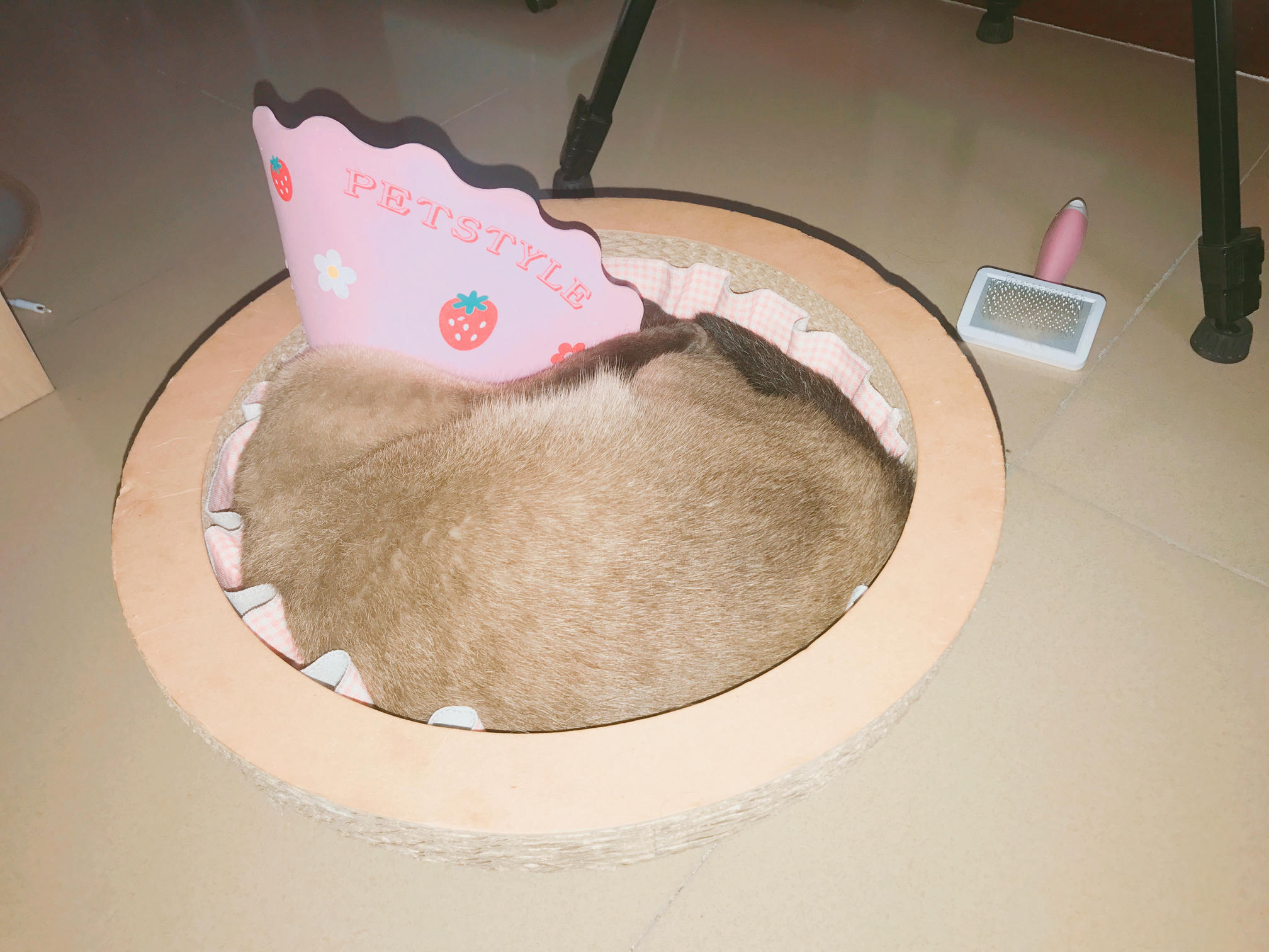 眼酱大魔王w 合集2 - 2-脸照和杂图_第13集