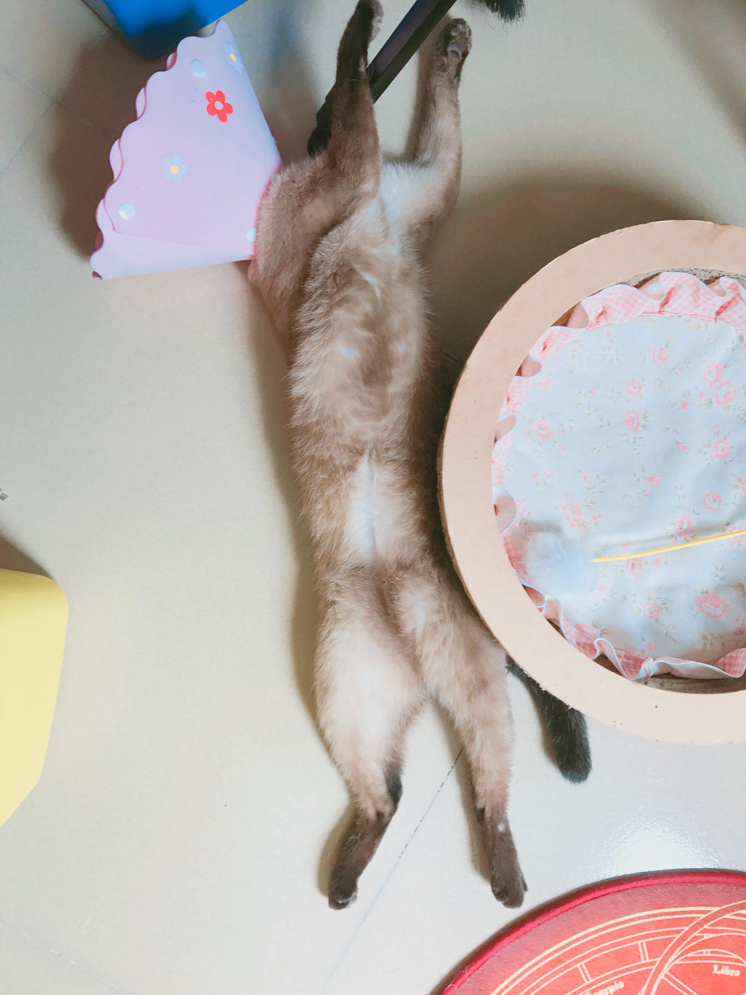 眼酱大魔王w 合集2 - 2-脸照和杂图_第13集