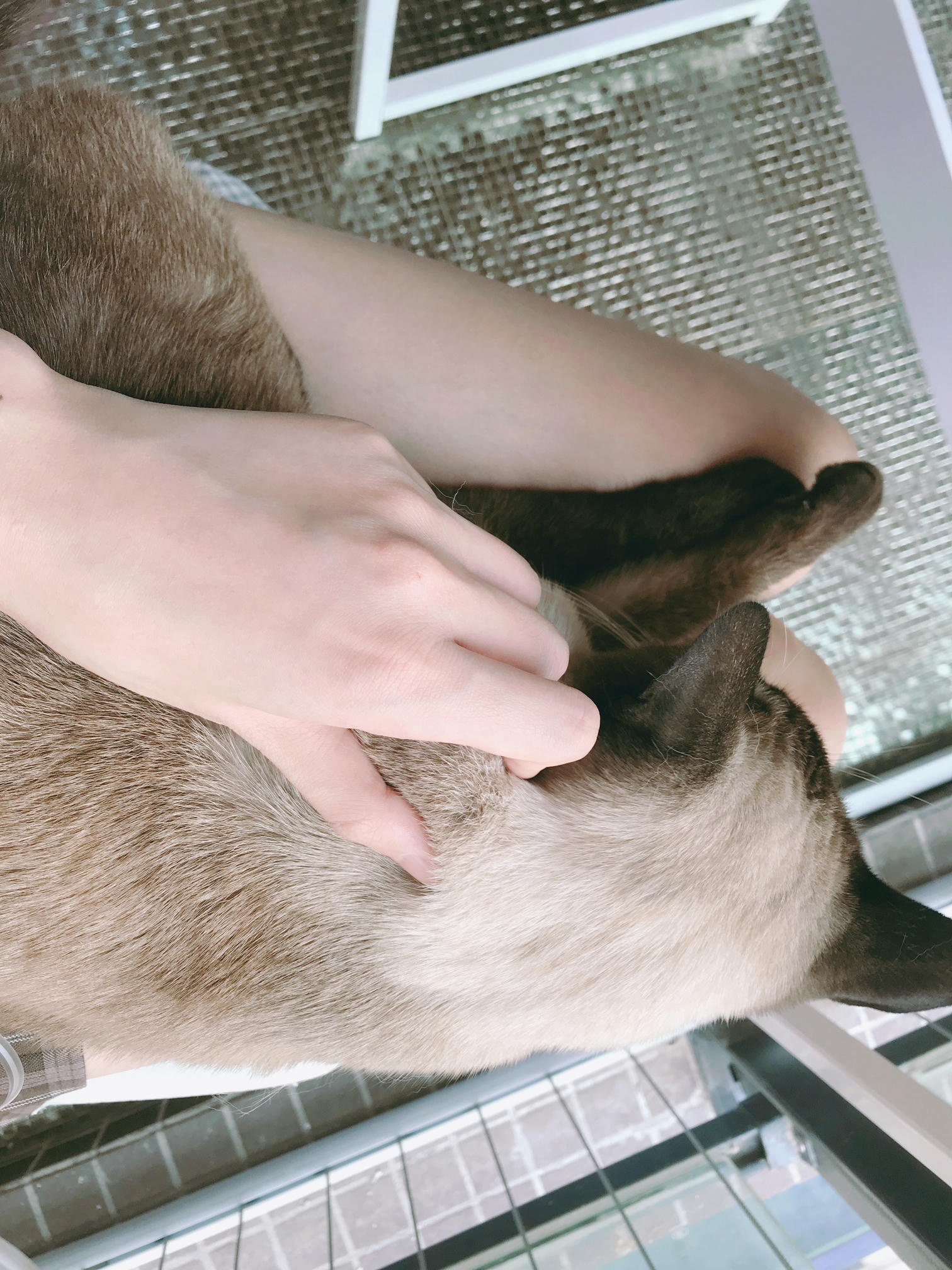 眼酱大魔王w 合集2 - 2-脸照和杂图_第3集