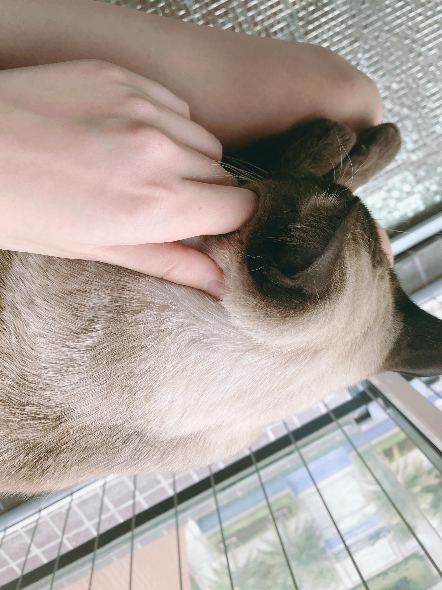 眼酱大魔王w 合集2 - 2-脸照和杂图_第3集