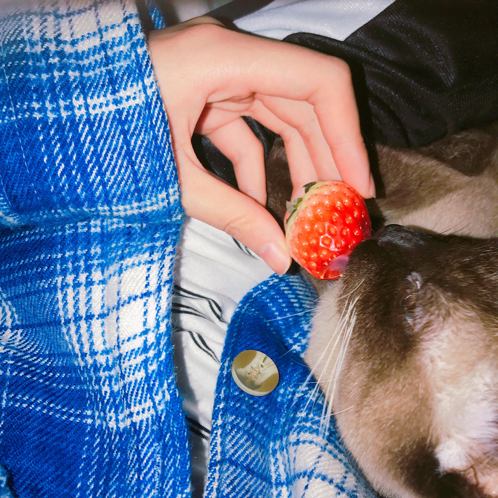 眼酱大魔王w 合集2 - 2-脸照和杂图_第5集