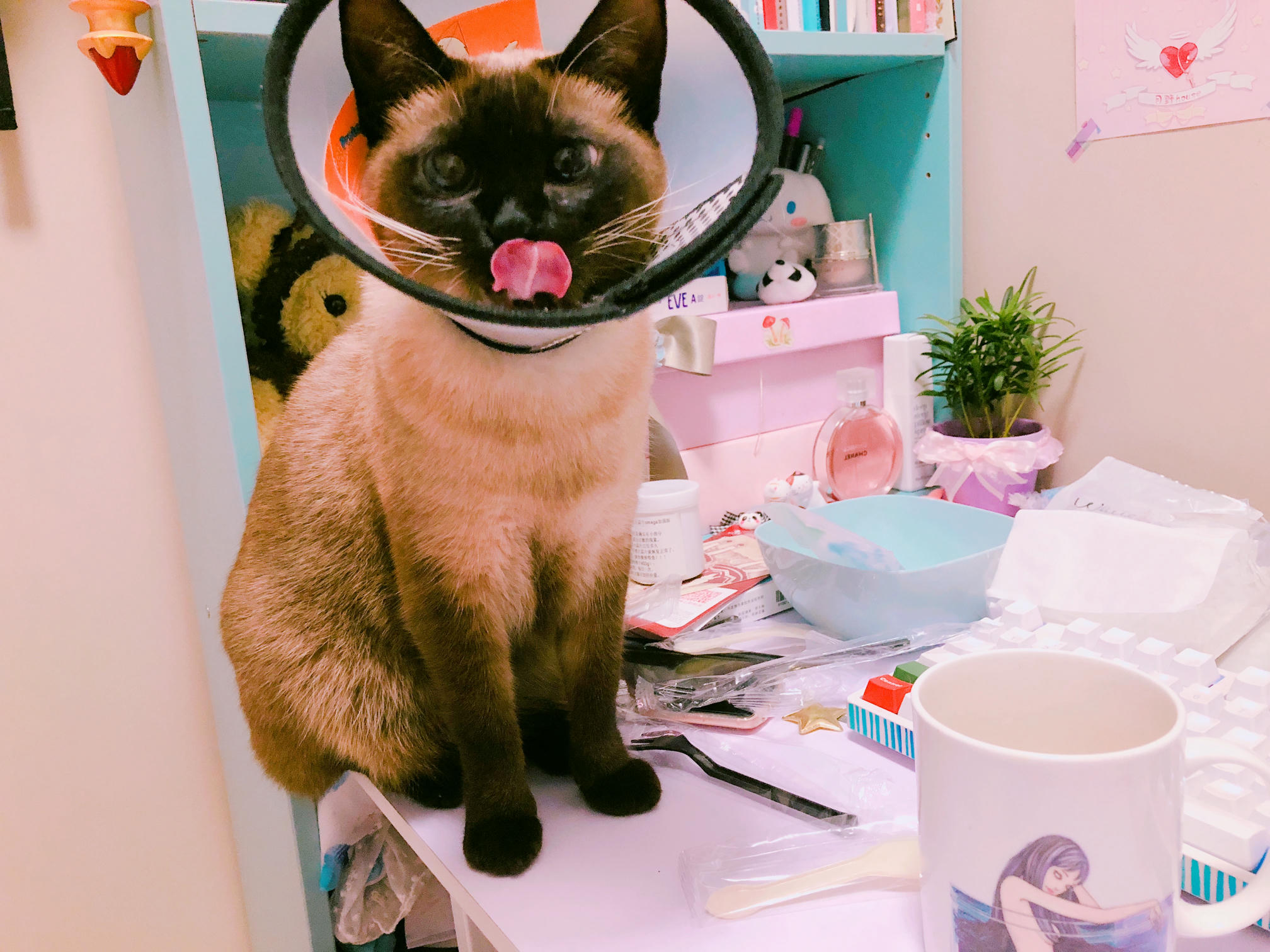 眼酱大魔王w 合集2 - 2-脸照和杂图_第5集