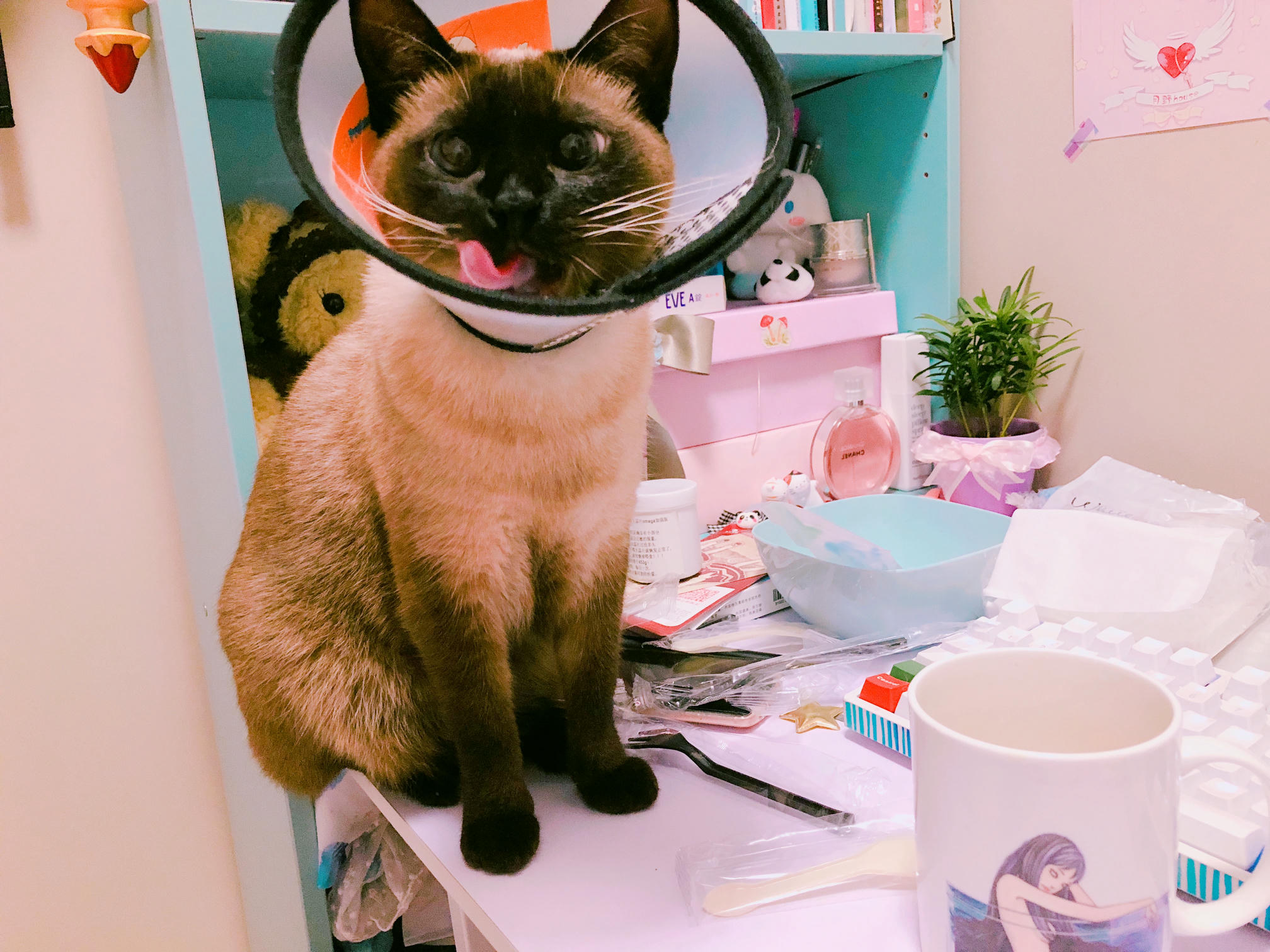 眼酱大魔王w 合集2 - 2-脸照和杂图_第5集