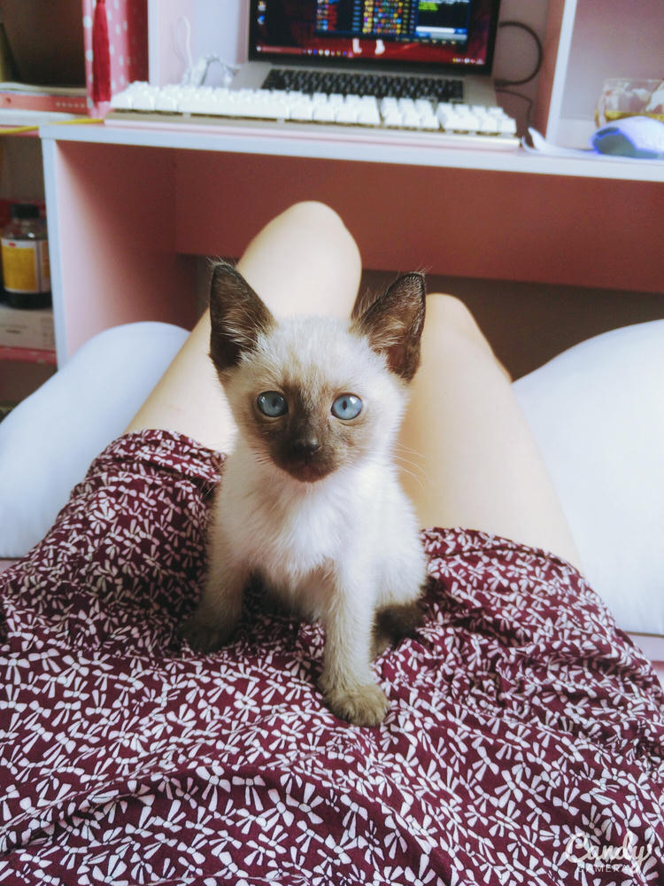 眼酱大魔王w 合集2 - 2-贴吧-2_第6集