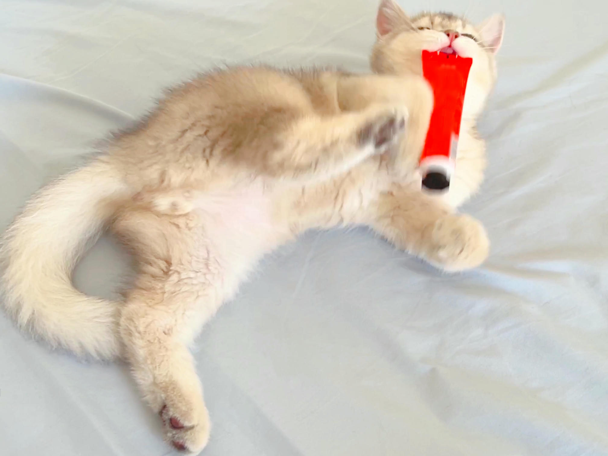 眼酱大魔王w NO.048 [Fantia] 04-08月合集 (17套) [90P8V-753MB]-2022-08-04 動画_🚨ポリス_Part 2 [8P1V-81.96MB]_第1集