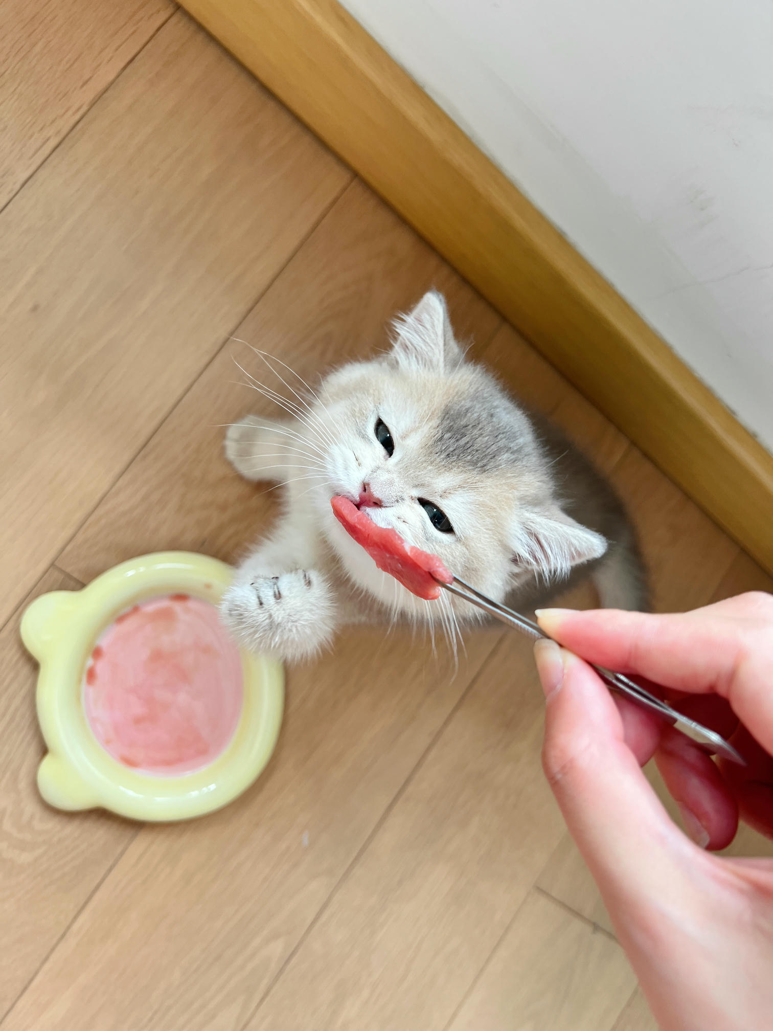 眼酱大魔王w NO.048 [Fantia] 04-08月合集 (17套) [90P8V-753MB]-2022-08-04 動画_🚨ポリス_Part 2 [8P1V-81.96MB]_第1集