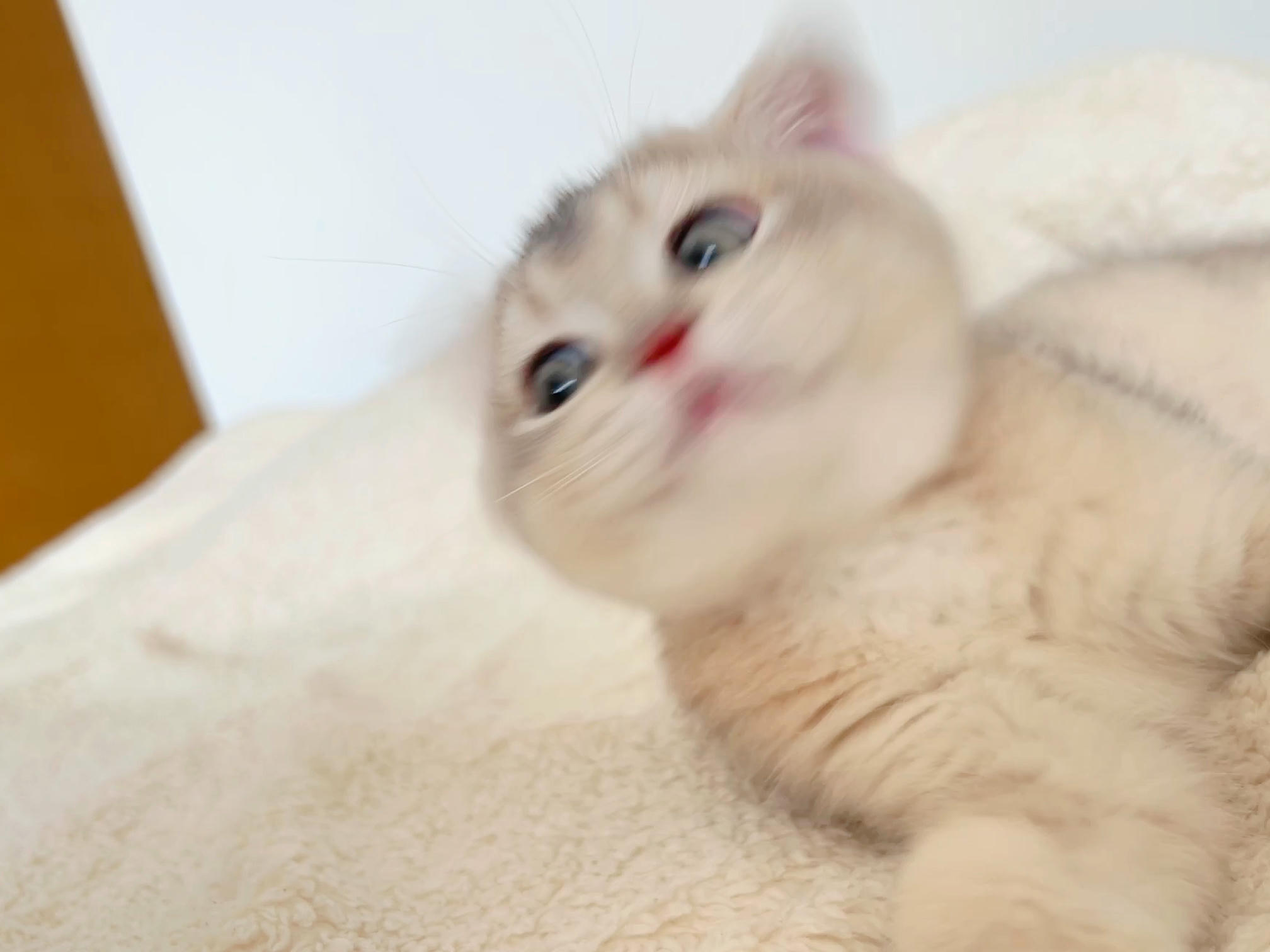 眼酱大魔王w NO.048 [Fantia] 04-08月合集 (17套) [90P8V-753MB]-2022-08-04 動画_🚨ポリス_Part 2 [8P1V-81.96MB]_第1集