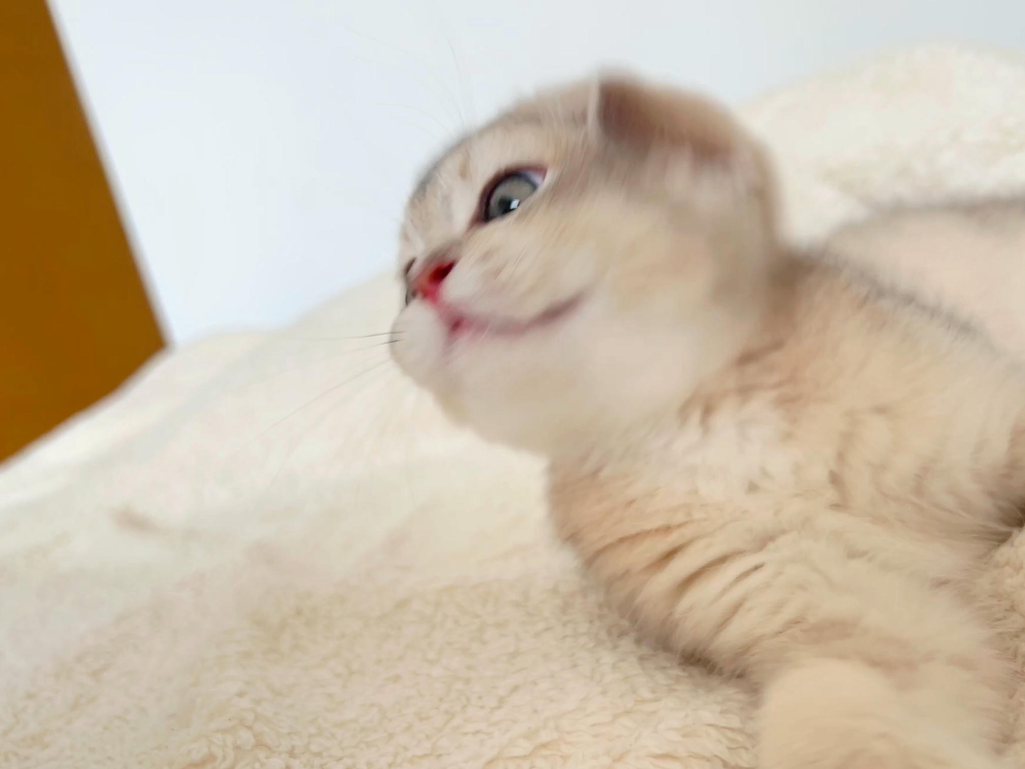 眼酱大魔王w NO.048 [Fantia] 04-08月合集 (17套) [90P8V-753MB]-2022-08-04 動画_🚨ポリス_Part 2 [8P1V-81.96MB]_第1集