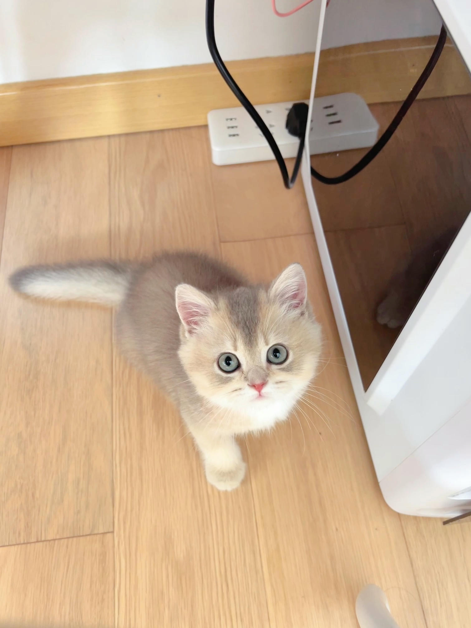 眼酱大魔王w NO.048 [Fantia] 04-08月合集 (17套) [90P8V-753MB]-2022-08-10 💋御姉感 [9P-56.52MB]_第1集