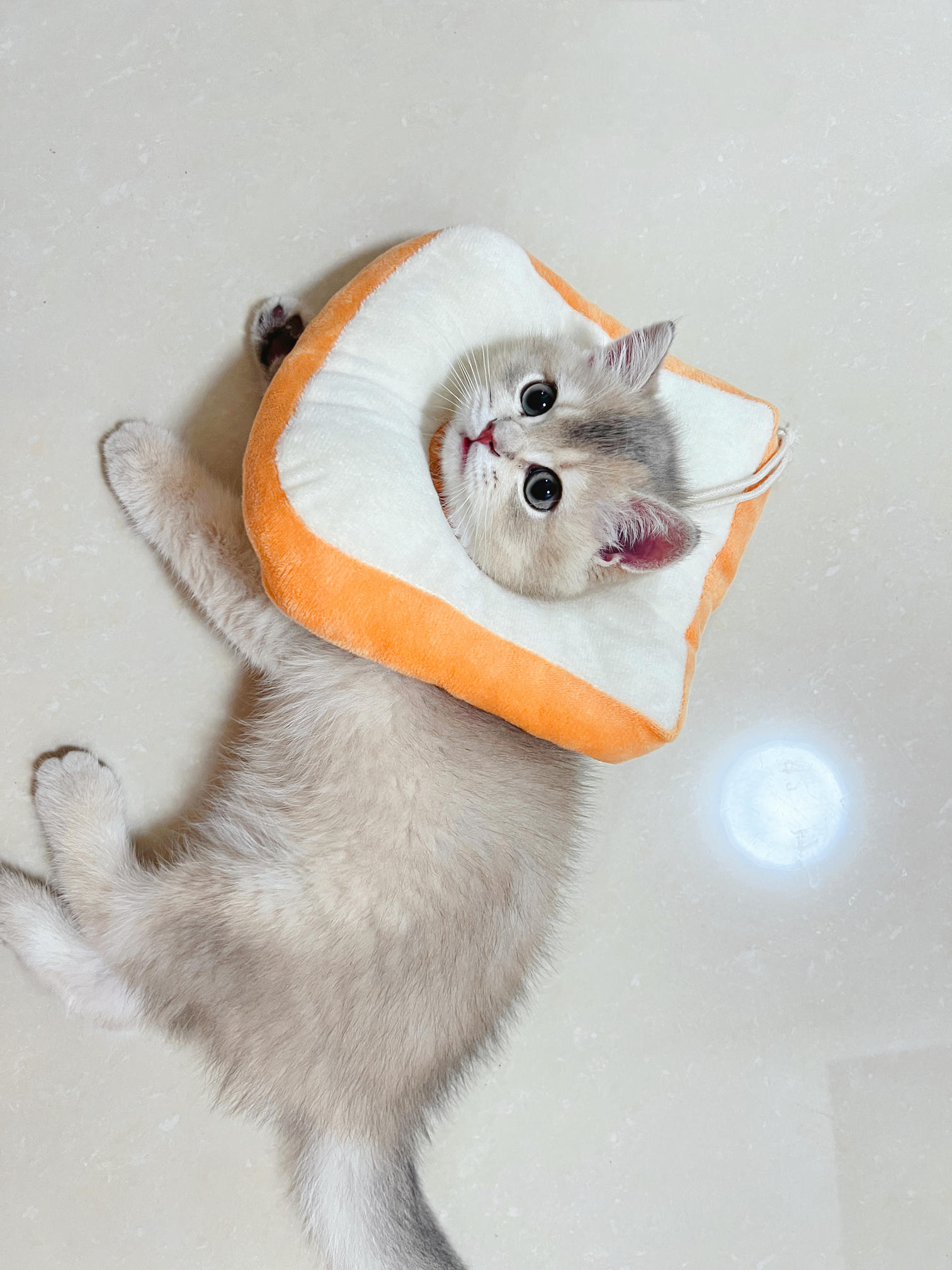 眼酱大魔王w NO.048 [Fantia] 04-08月合集 (17套) [90P8V-753MB]-2022-08-10 💋御姉感 [9P-56.52MB]_第1集