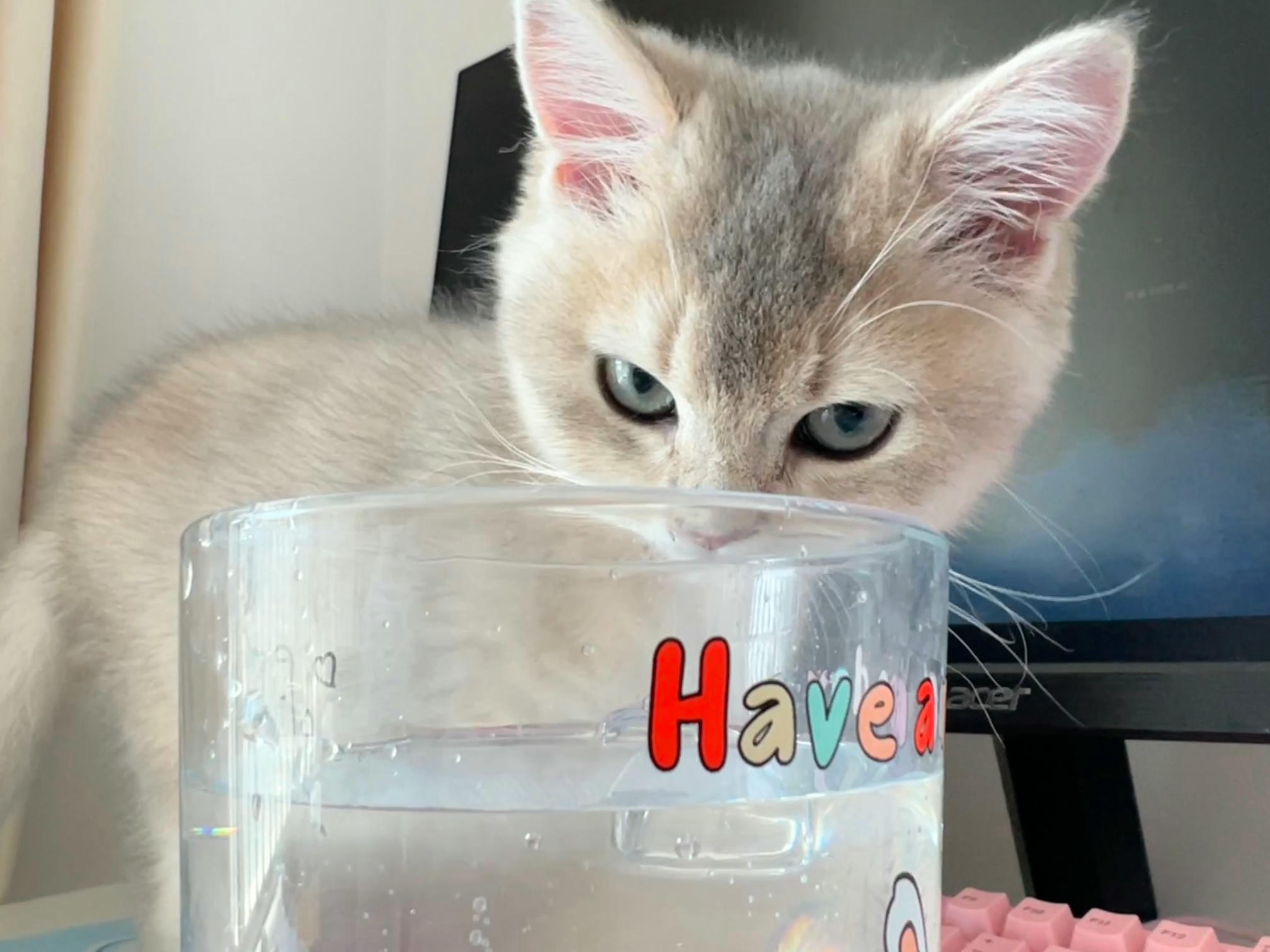 眼酱大魔王w NO.048 [Fantia] 04-08月合集 (17套) [90P8V-753MB]-2022-08-14 👠秘書婦警 [9P-65.92MB]_第1集