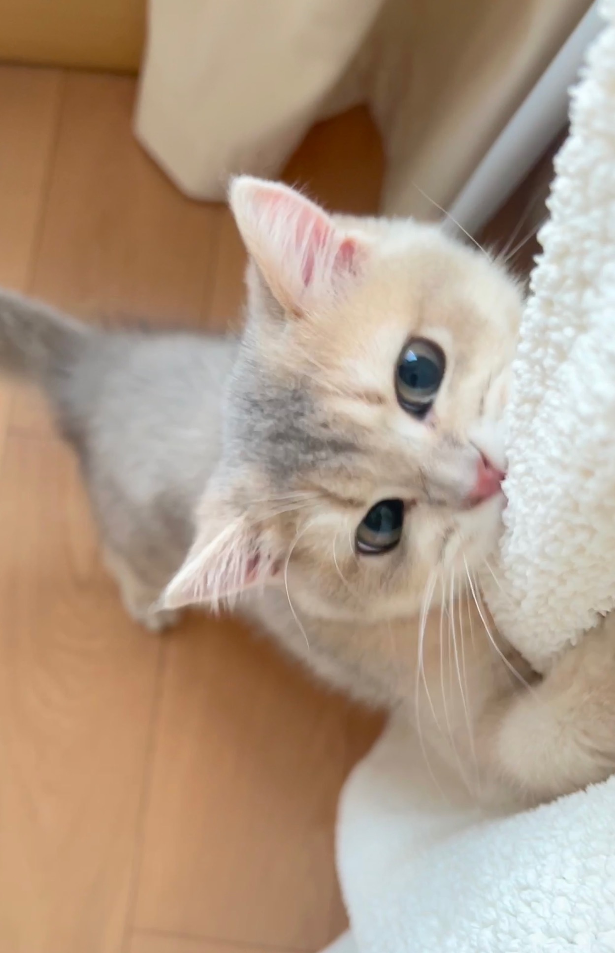 眼酱大魔王w NO.048 [Fantia] 04-08月合集 (17套) [90P8V-753MB]-2022-08-19 夏🍉 [9P2V-81.95MB]_第1集