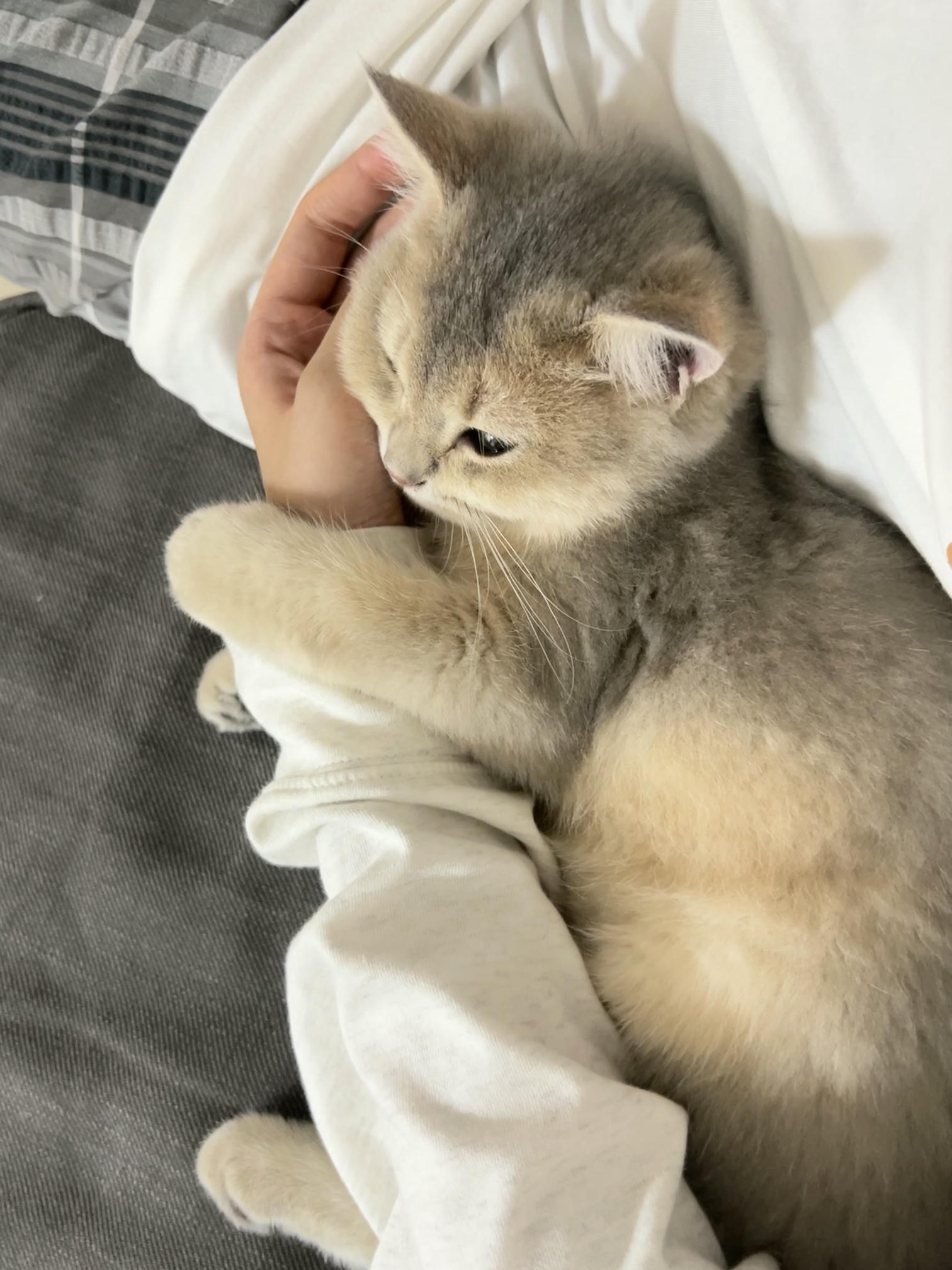 眼酱大魔王w NO.048 [Fantia] 04-08月合集 (17套) [90P8V-753MB]-2022-08-19 夏🍉 [9P2V-81.95MB]_第1集