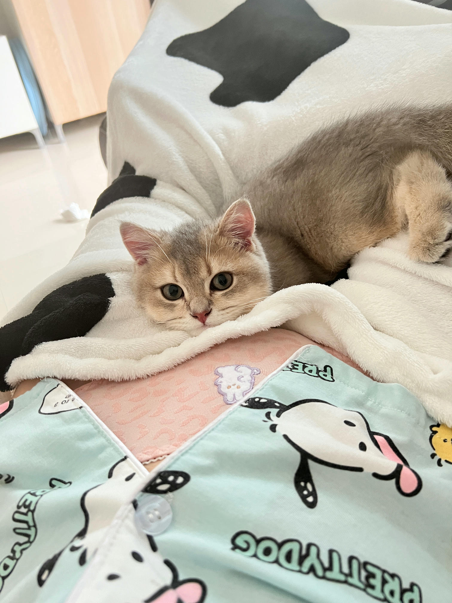 眼酱大魔王w NO.050 22年09月fantia会员合集（6期）[50P-446MB]-2022-09-05运动感🏌🏻 ♀️_第1集