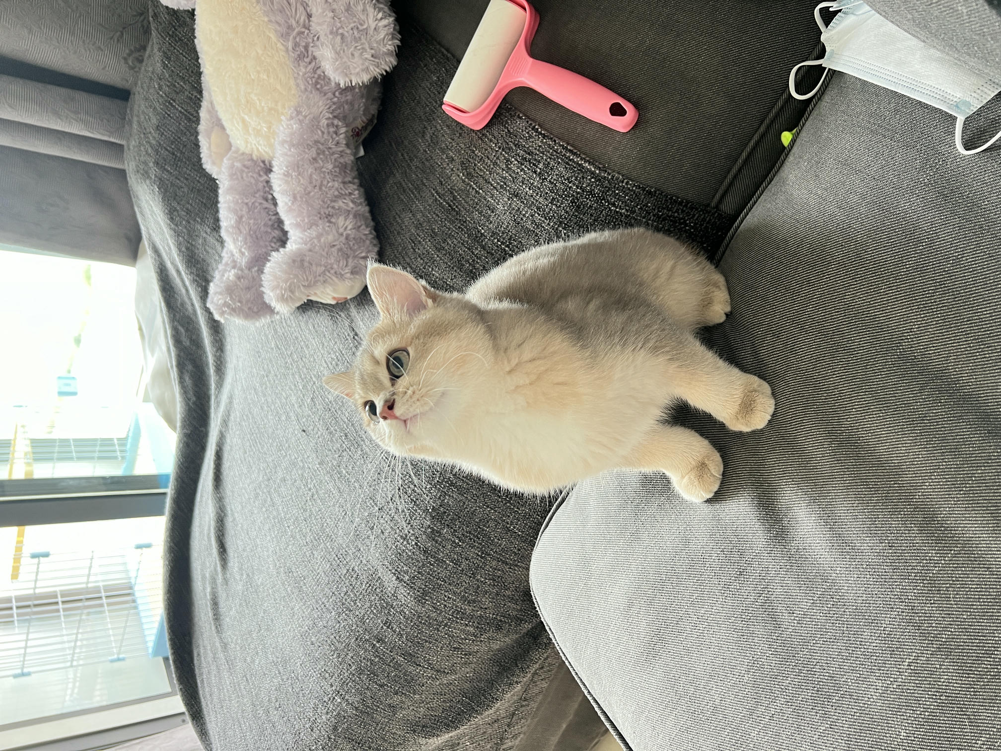 眼酱大魔王w NO.050 22年09月fantia会员合集（6期）[50P-446MB]-2022-09-05运动感🏌🏻 ♀️_第1集