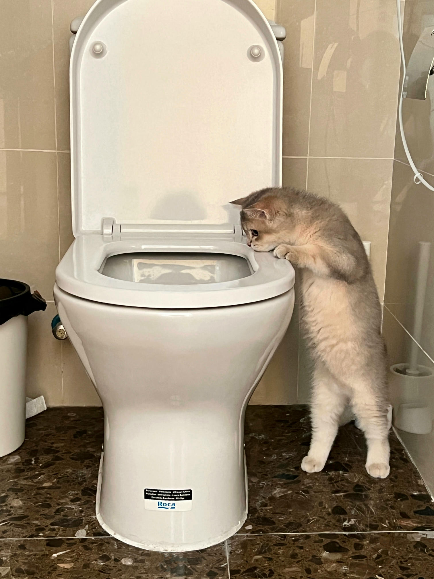 眼酱大魔王w NO.050 22年09月fantia会员合集（6期）[50P-446MB]-2022-09-15闻到好姐姐_第1集