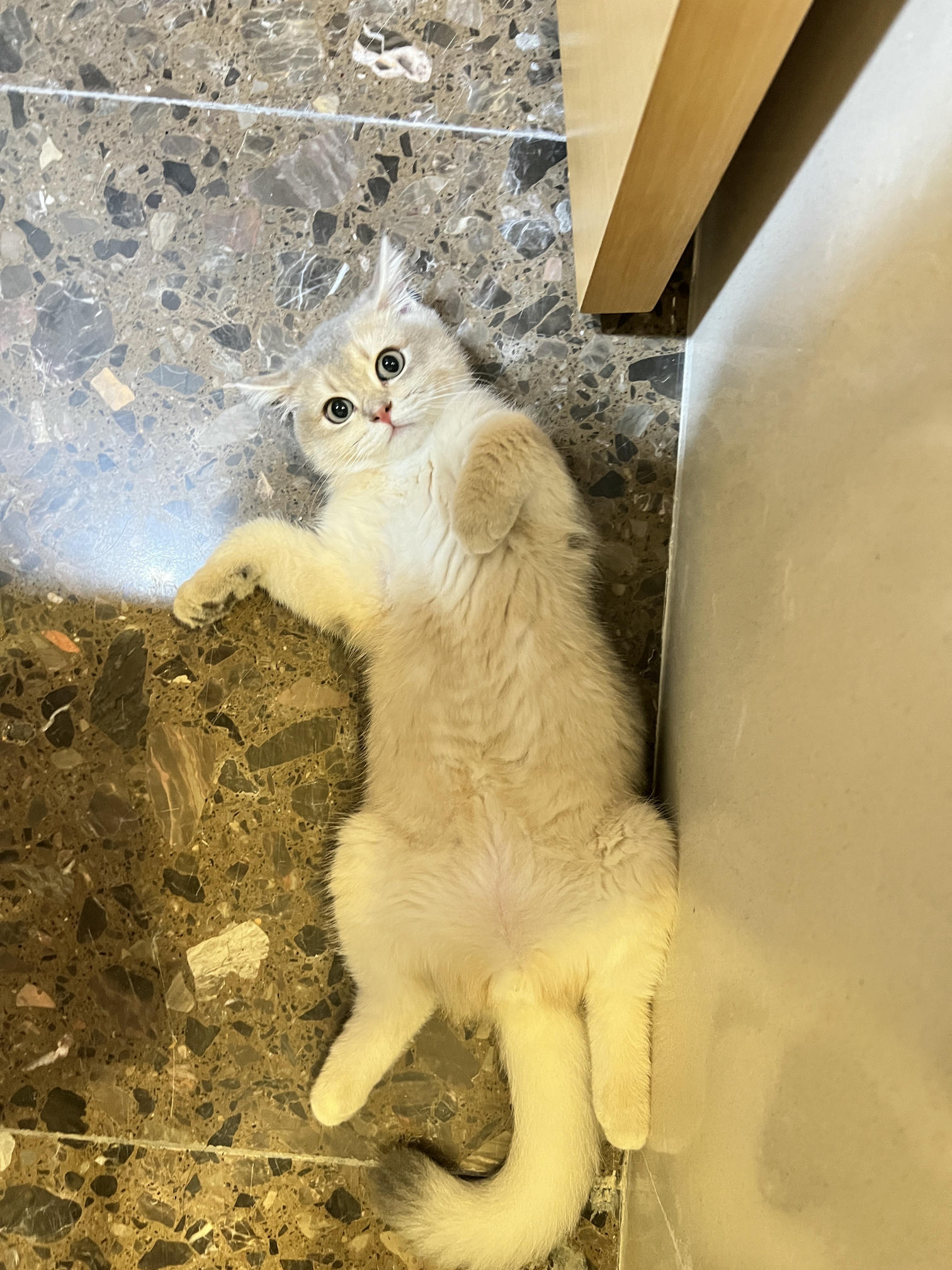 眼酱大魔王w NO.050 22年09月fantia会员合集（6期）[50P-446MB]-2022-09-15闻到好姐姐_第1集