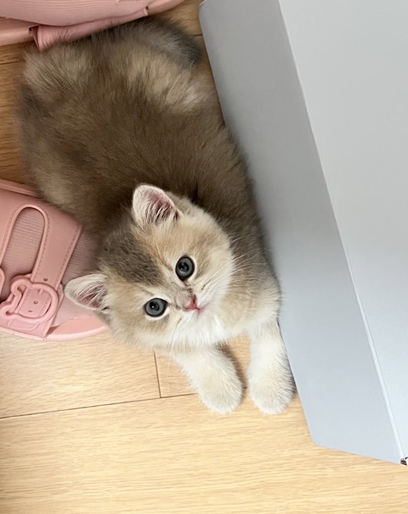 眼酱大魔王w NO.050 22年09月fantia会员合集（6期）[50P-446MB]-2022-09-24制服大鳳♡Part 2_第1集