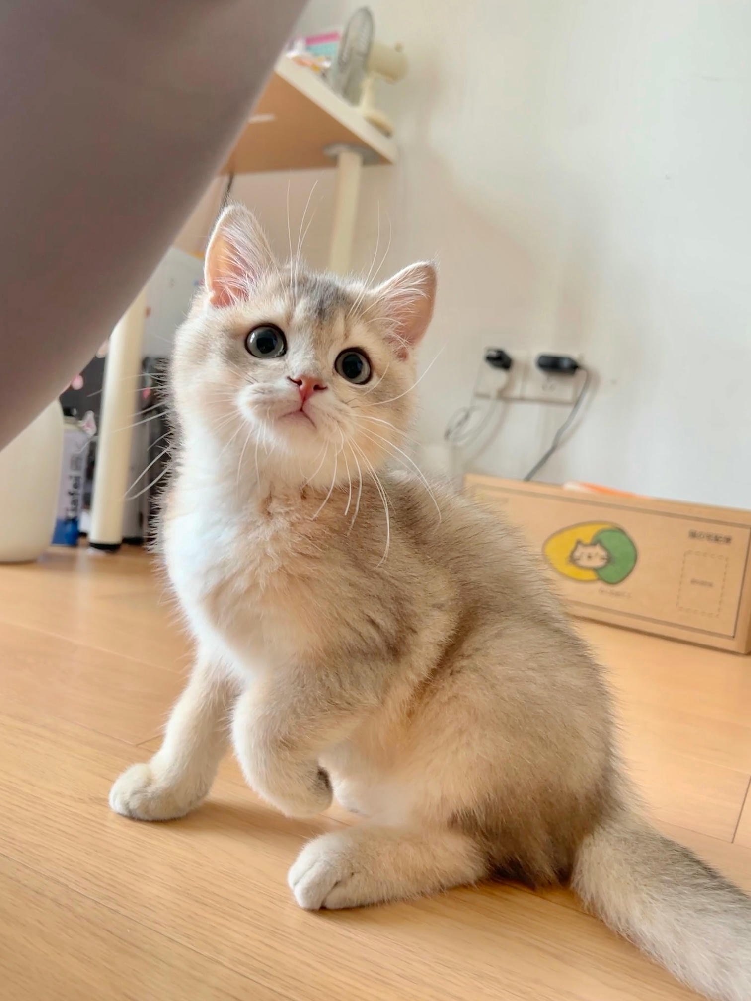 眼酱大魔王w NO.050 22年09月fantia会员合集（6期）[50P-446MB]-2022-09-24制服大鳳♡Part 2_第1集