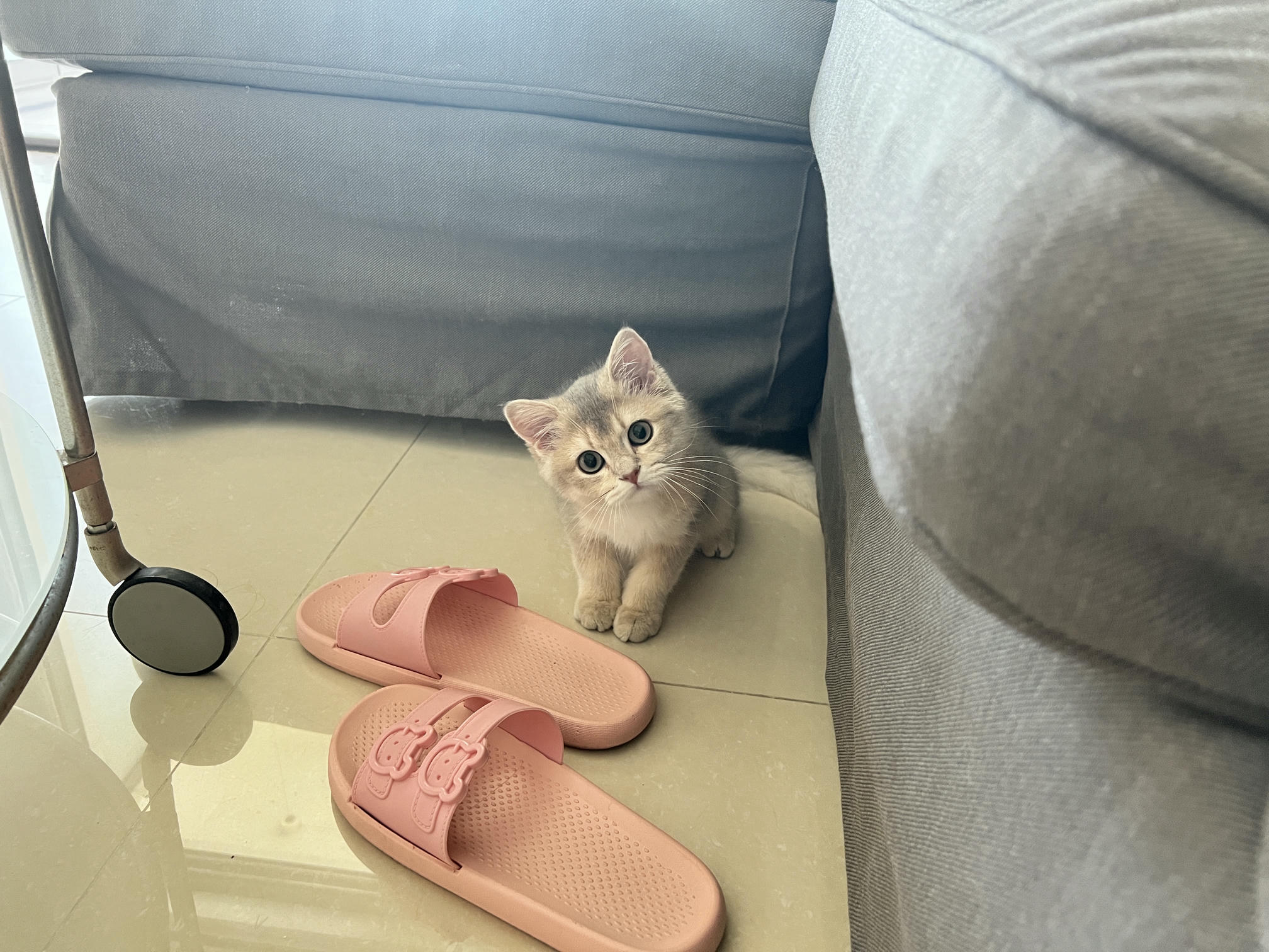 眼酱大魔王w NO.050 22年09月fantia会员合集（6期）[50P-446MB]-2022-09-24制服大鳳♡Part 2_第1集