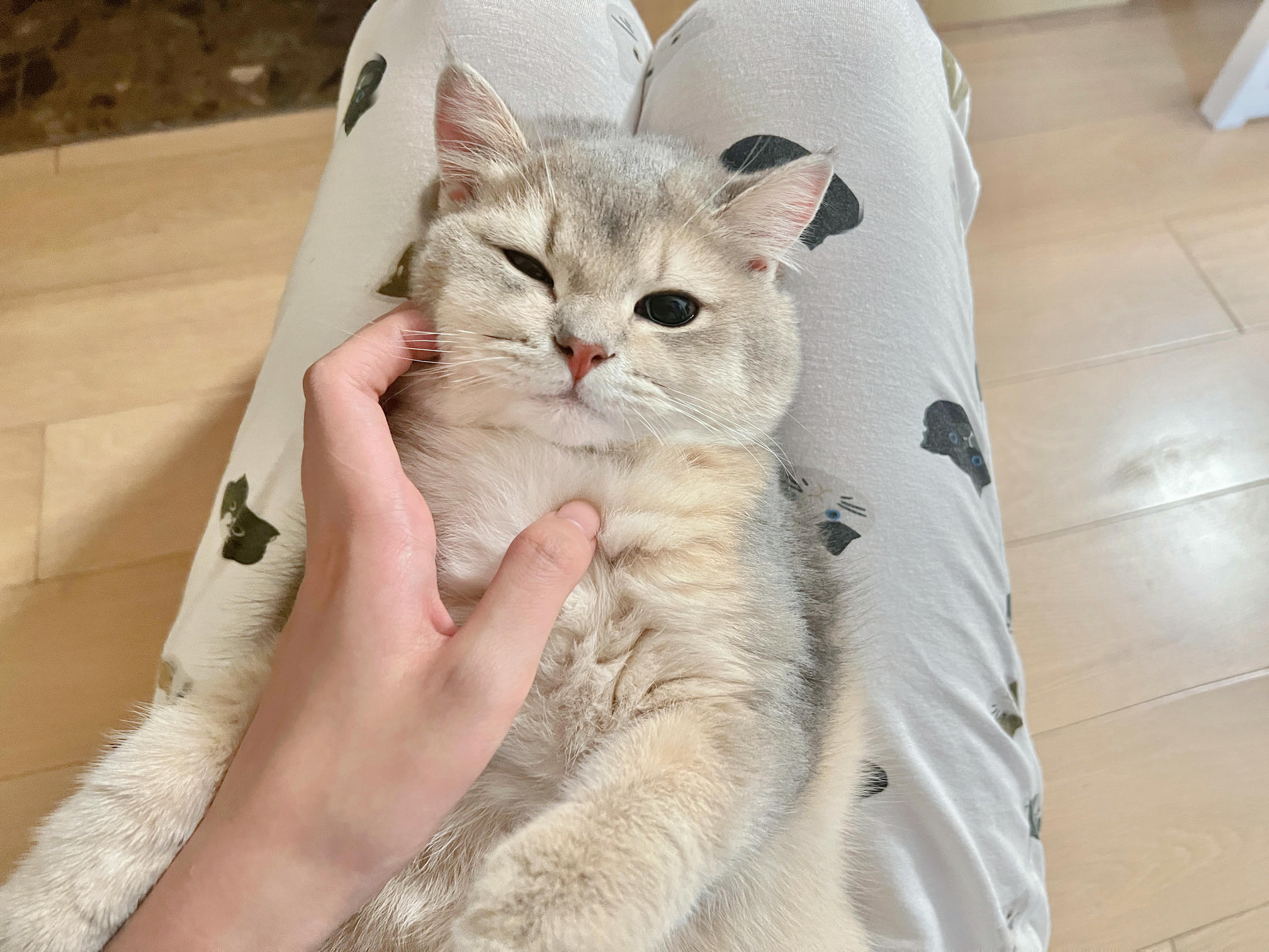 眼酱大魔王w NO.050 22年09月fantia会员合集（6期）[50P-446MB]-2022-09-30谢谢你💪🏻九月_第1集