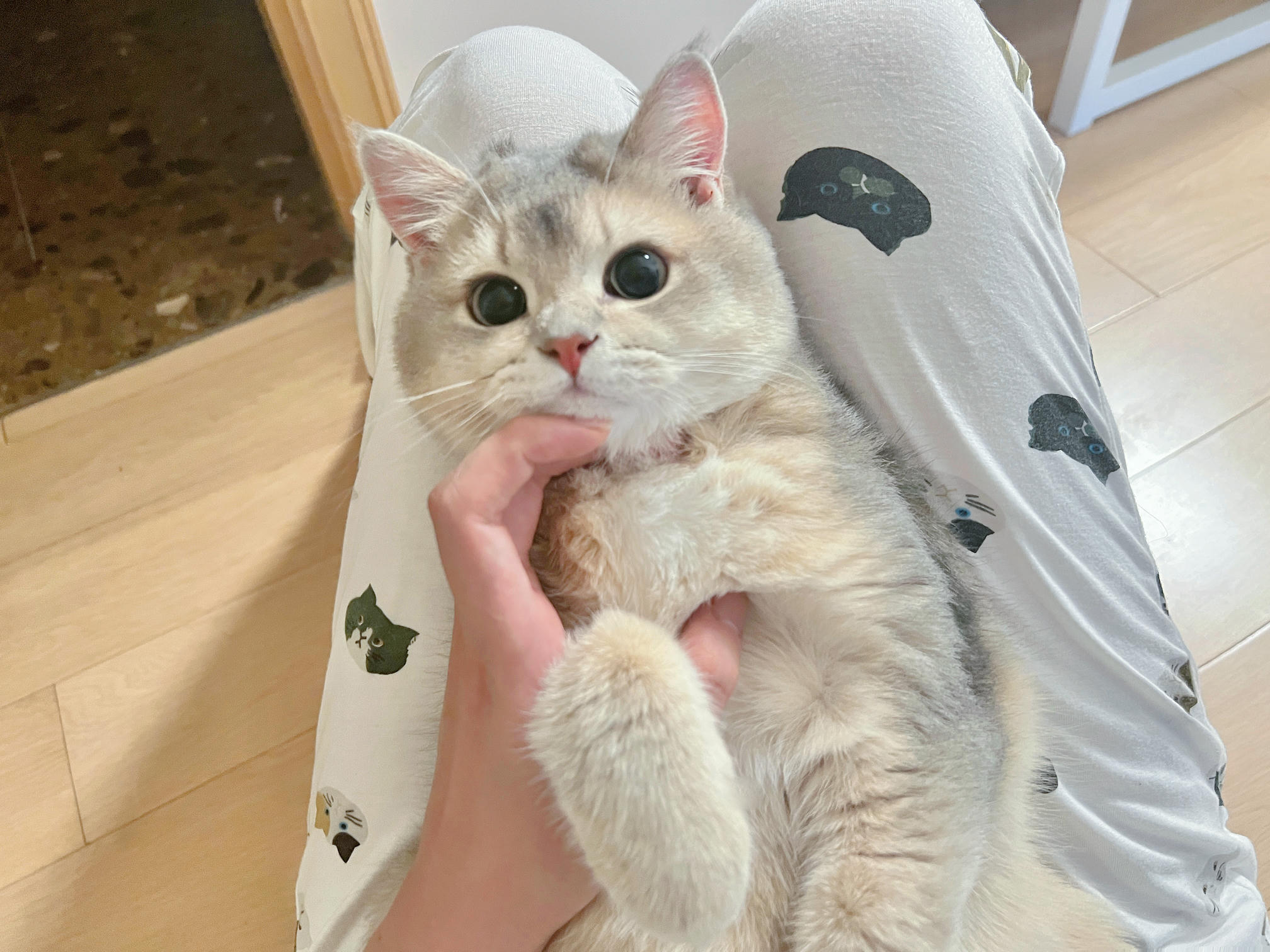 眼酱大魔王w NO.050 22年09月fantia会员合集（6期）[50P-446MB]-2022-09-30谢谢你💪🏻九月_第1集