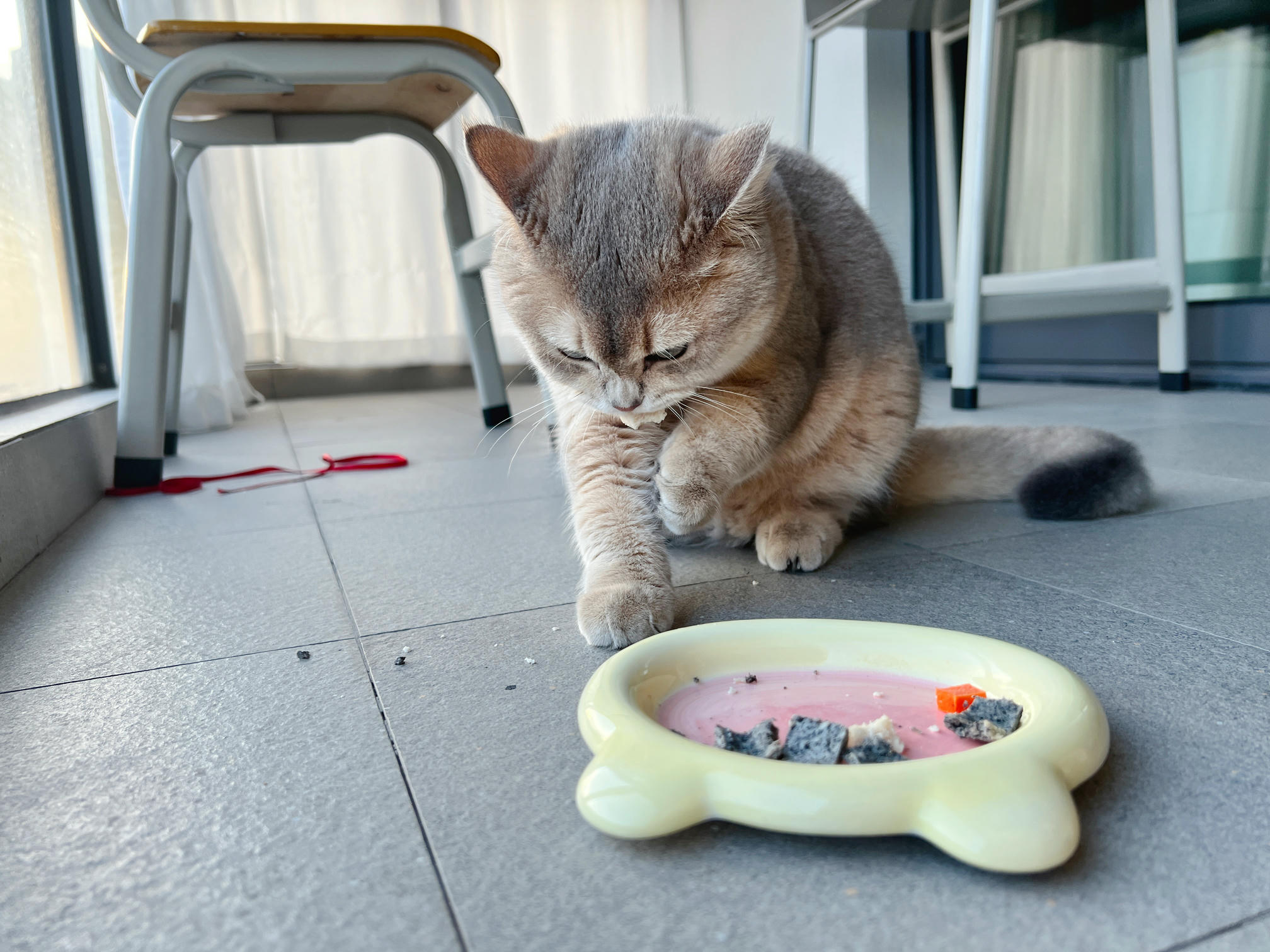 眼酱大魔王w NO.051 2022年11月合集 (6套) [41P 3V 404MB]-2022-11-05 赤い下着のお姉さん💕 [7P]_第1集