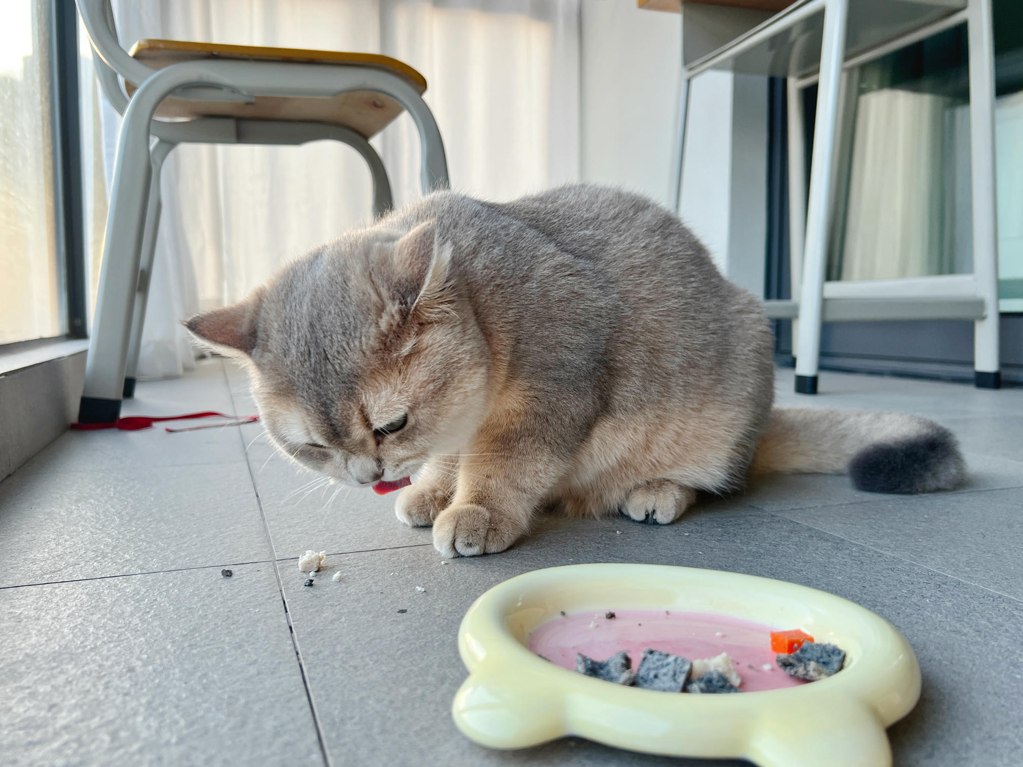 眼酱大魔王w NO.051 2022年11月合集 (6套) [41P 3V 404MB]-2022-11-05 赤い下着のお姉さん💕 [7P]_第1集