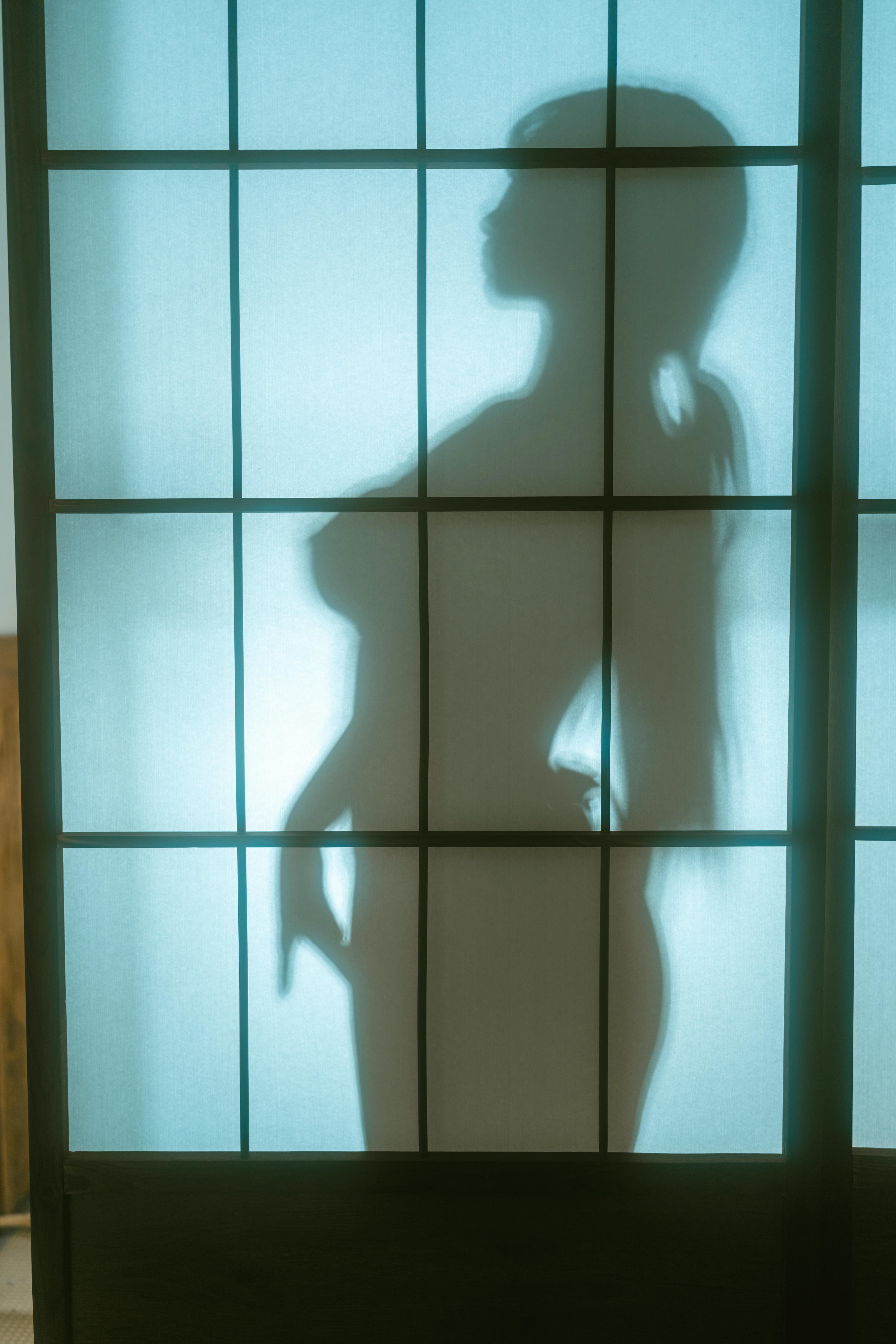 樱井宁宁-桜井宁宁 NO.114 绳艺巫女 [61P 1.03GB]_第3集