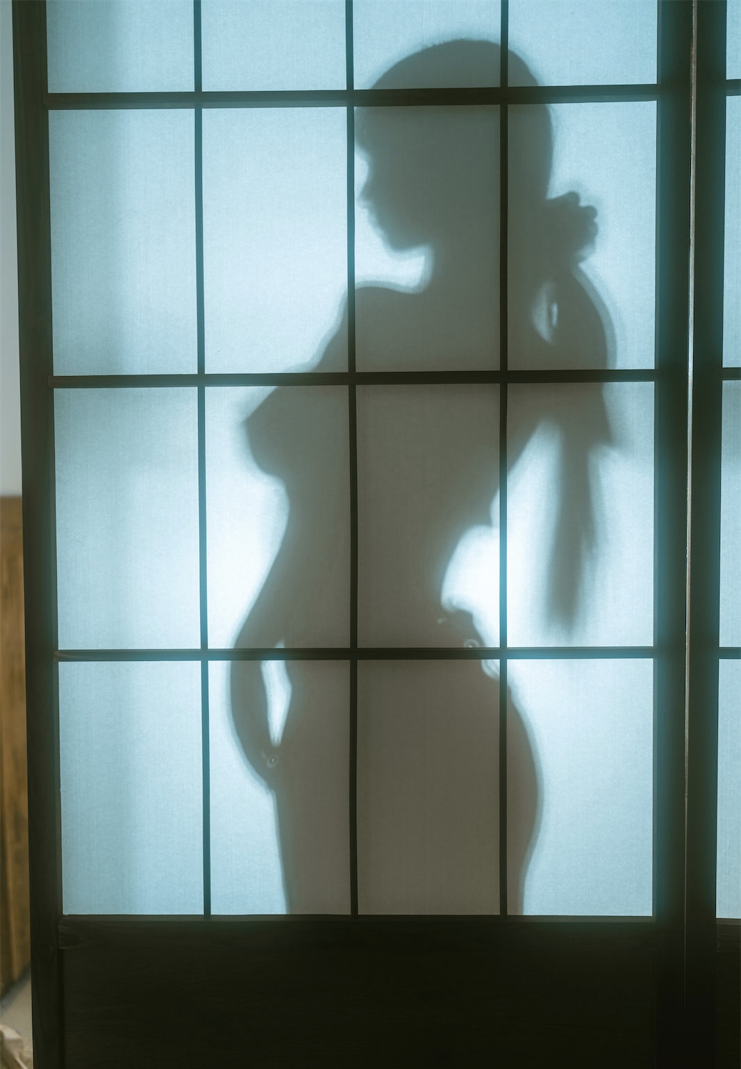 樱井宁宁-桜井宁宁 NO.114 绳艺巫女 [61P 1.03GB]_第4集