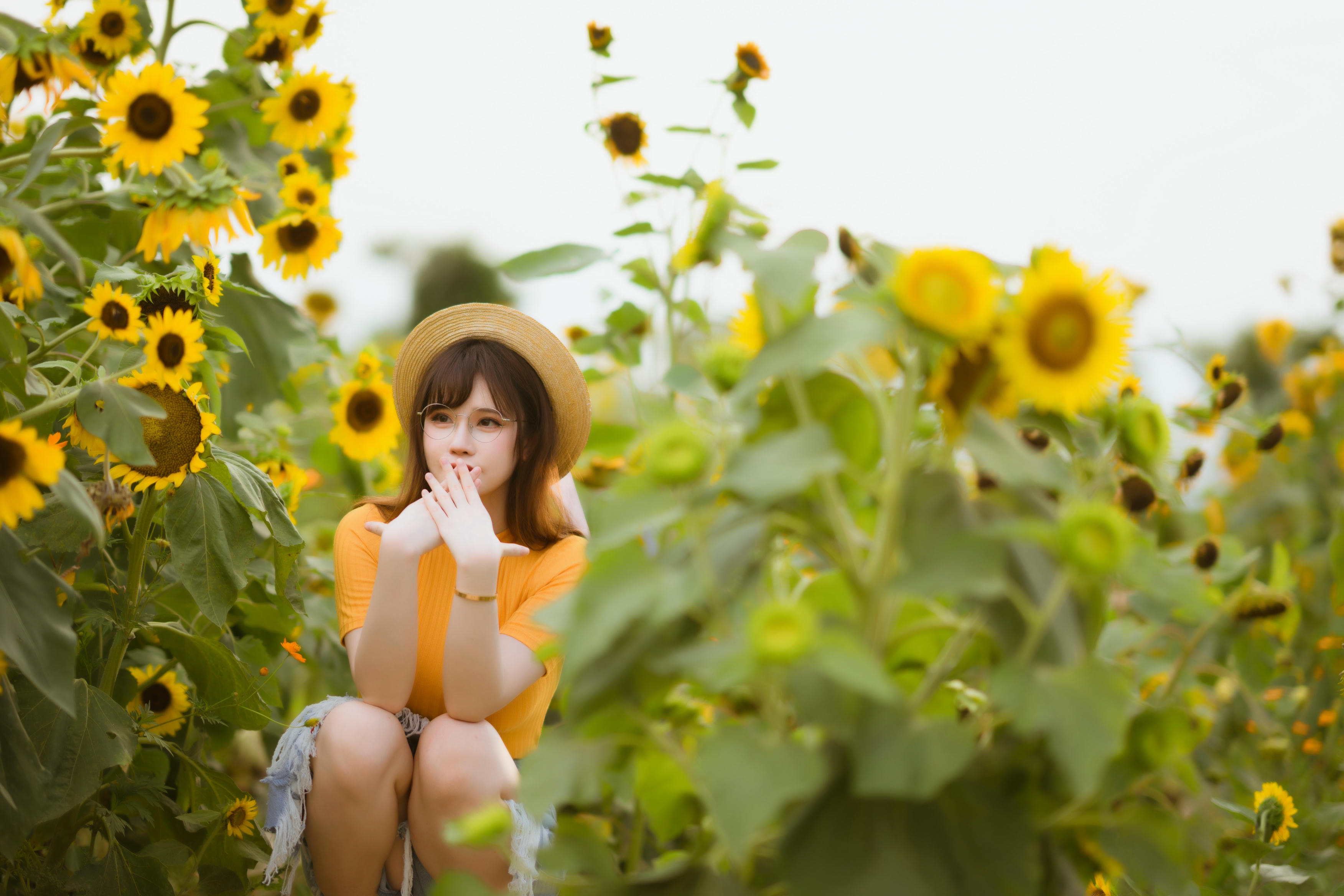 前羽_rr NO.013 赠品dlc 限量版赠送图 []98P 1.18GB-52p-向日葵不计入_第1集