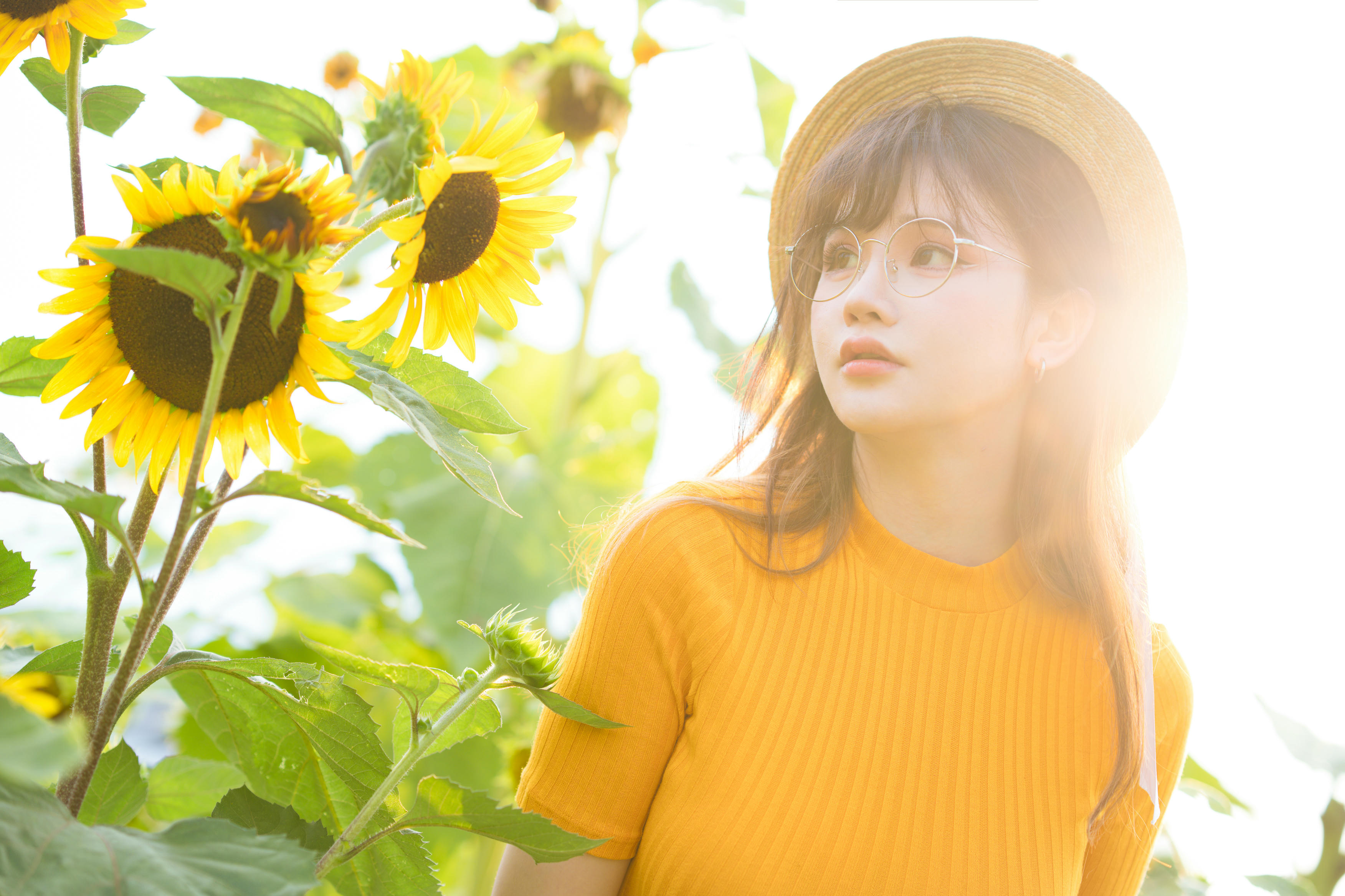 前羽_rr NO.013 赠品dlc 限量版赠送图 []98P 1.18GB-52p-向日葵不计入_第1集