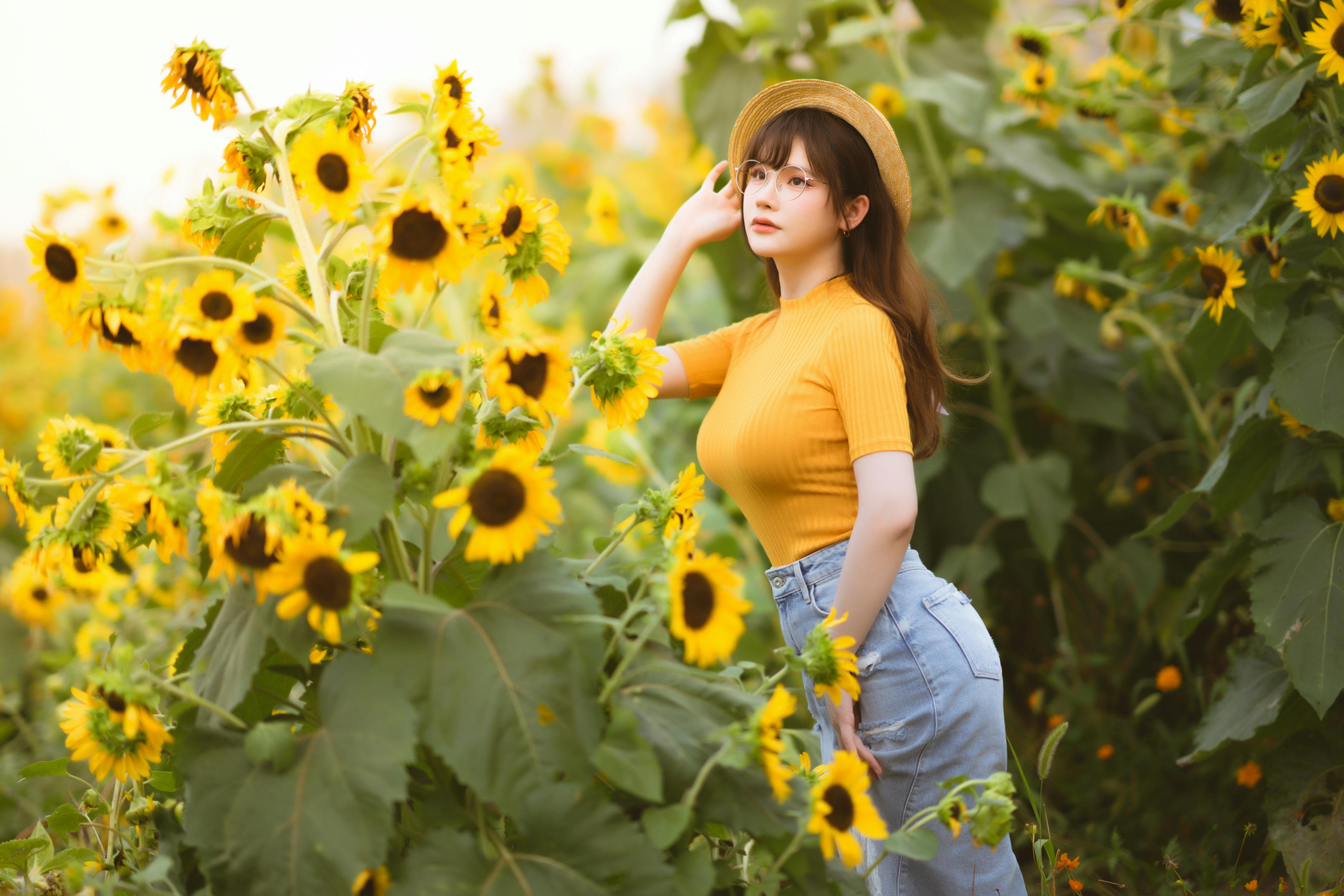 前羽_rr NO.013 赠品dlc 限量版赠送图 []98P 1.18GB-52p-向日葵不计入_第1集