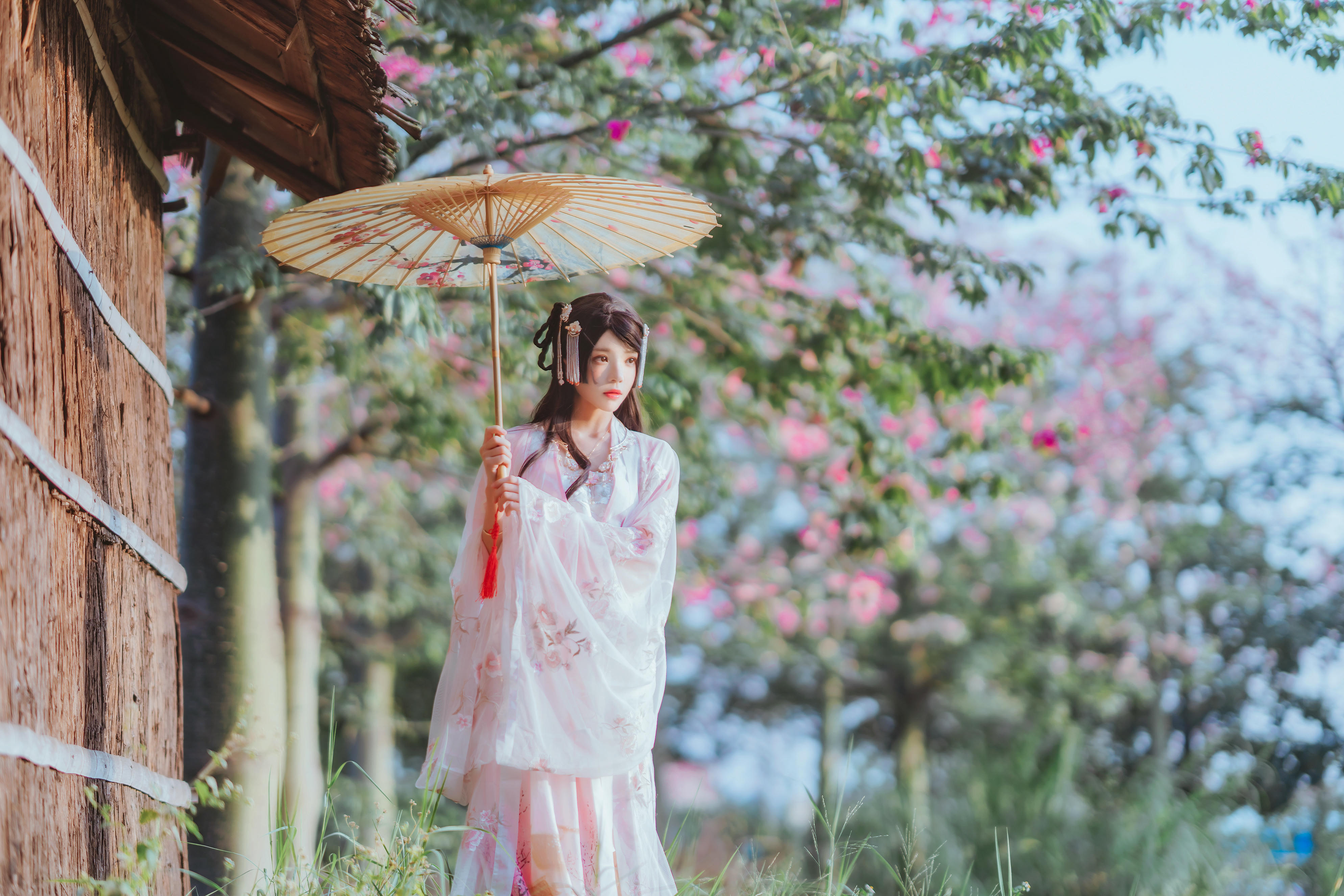 桜桃喵 NO.101 温柔 [53P-0.97GB]-桃花_第1集