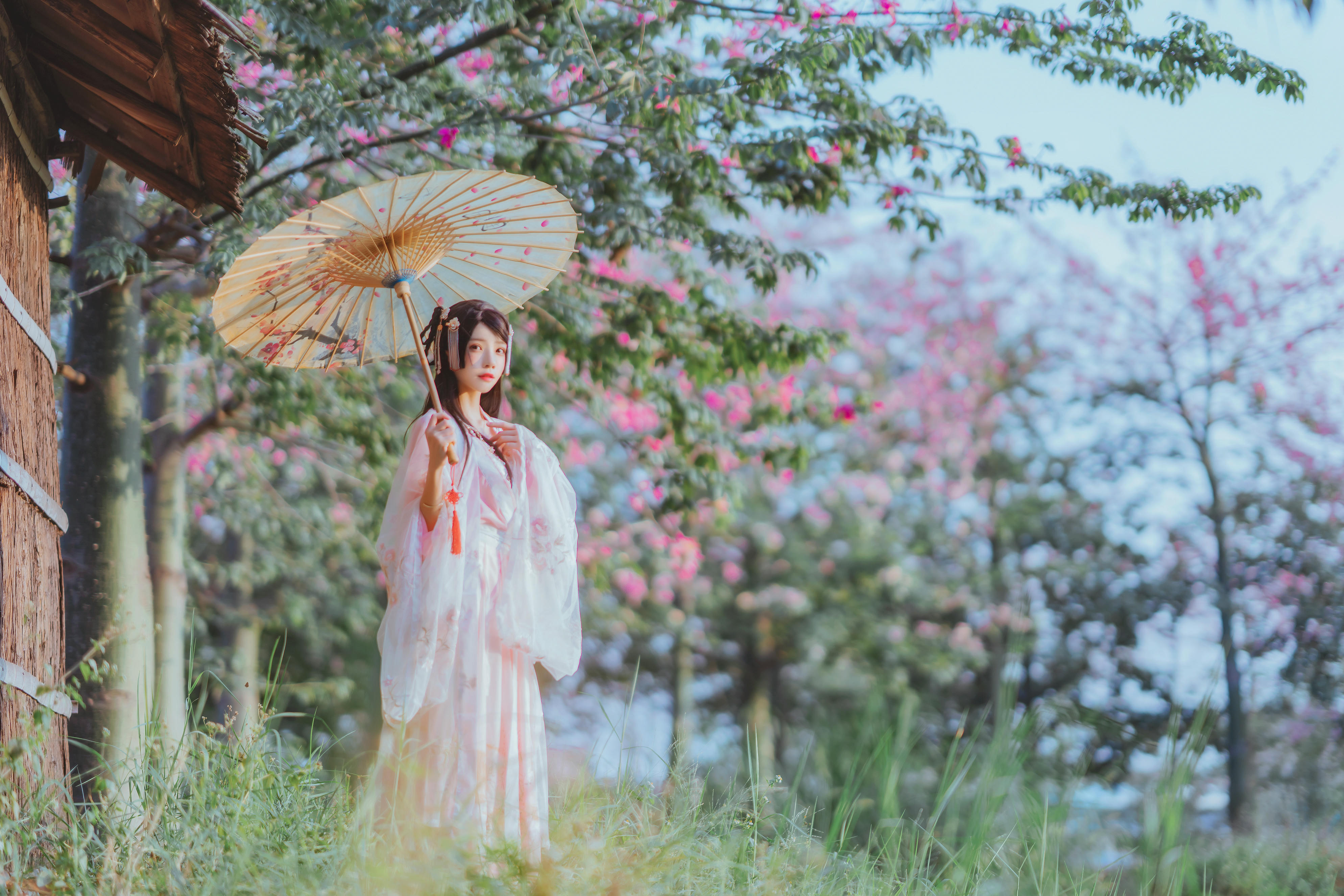 桜桃喵 NO.101 温柔 [53P-0.97GB]-桃花_第1集