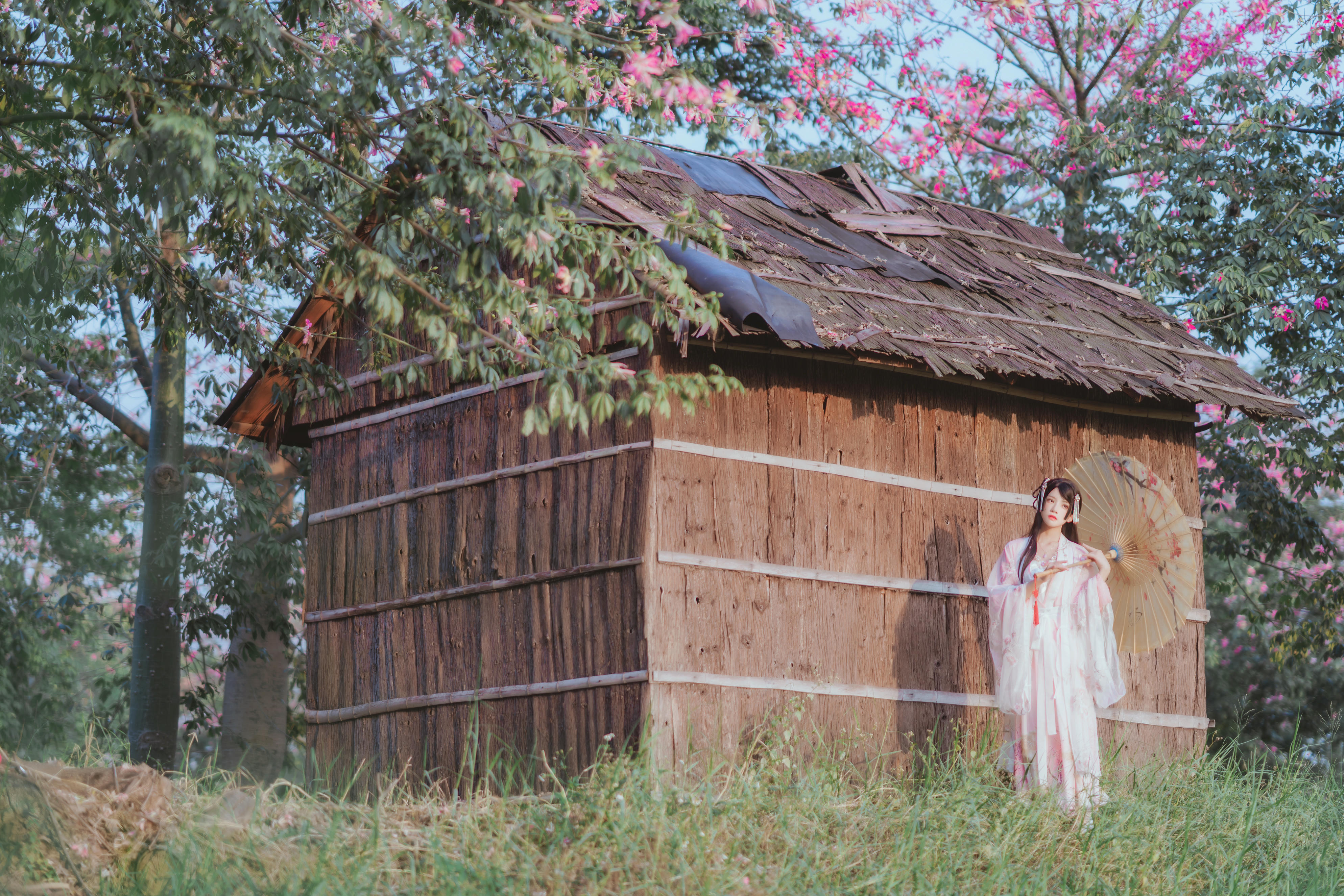 桜桃喵 NO.101 温柔 [53P-0.97GB]-桃花_第1集