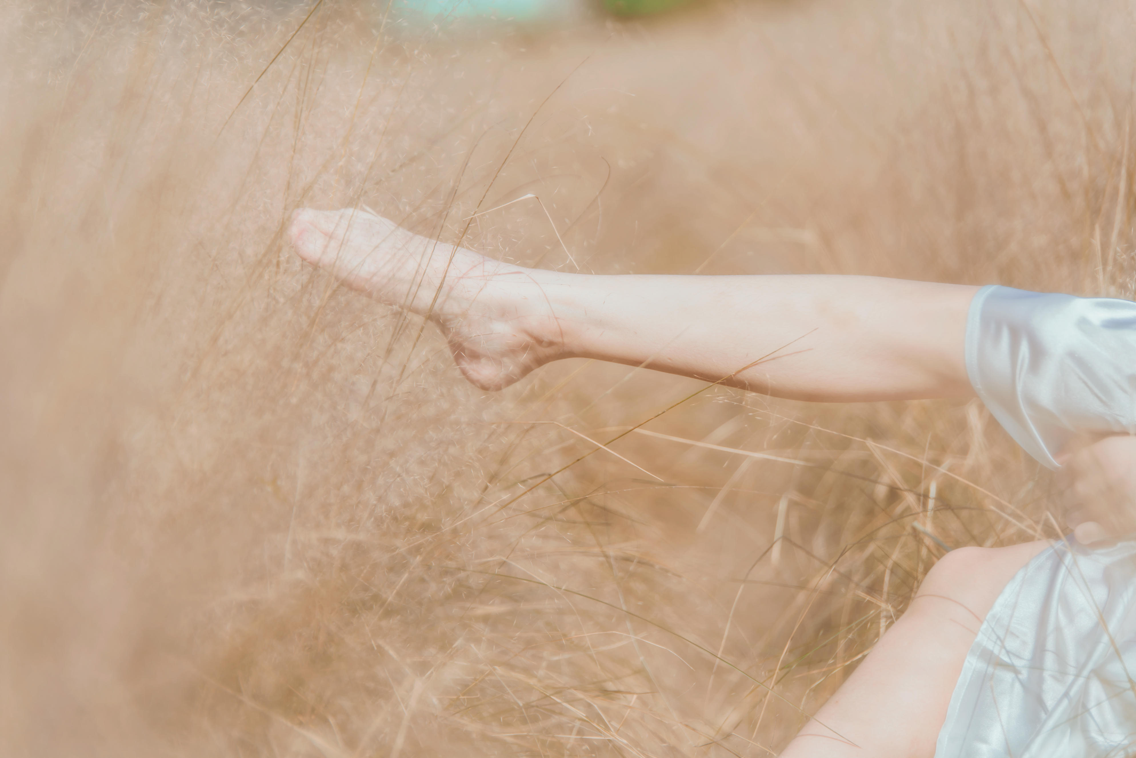 桜桃喵 NO.076 原野上的浪漫 [51P-1.0GB]_第1集