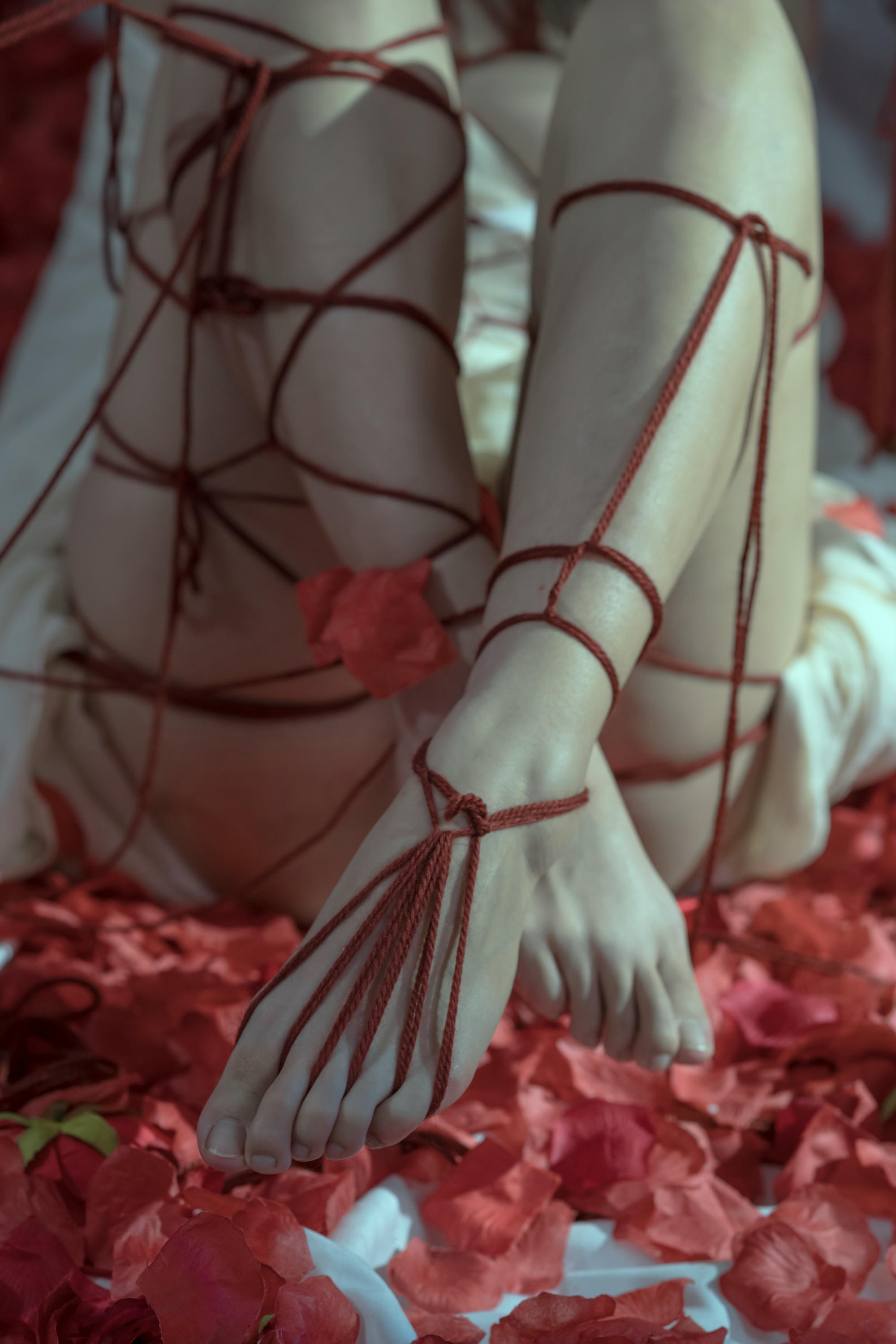 云溪溪 NO.022 奶桃 囚鸟 [64P 768MB]_第2集