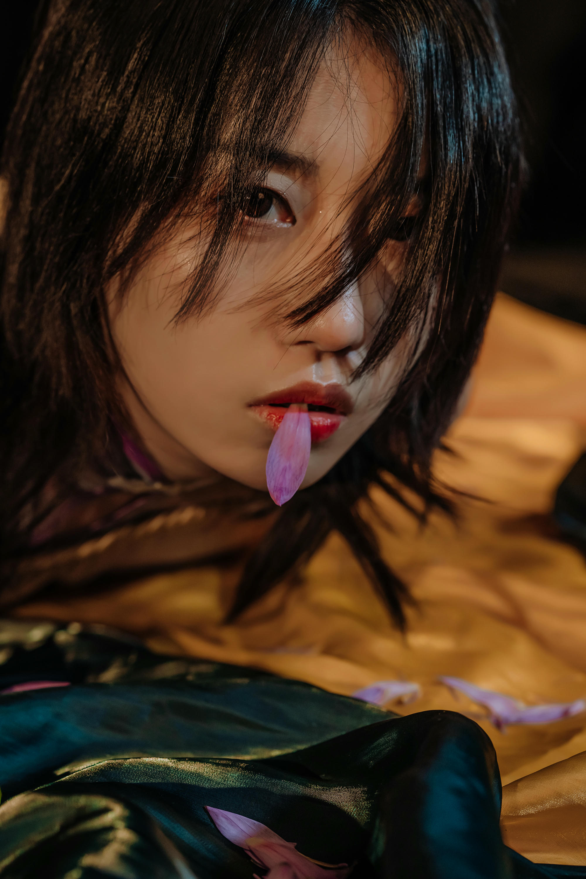 云溪溪 NO.007 花与绳 [58P-612MB]_第2集