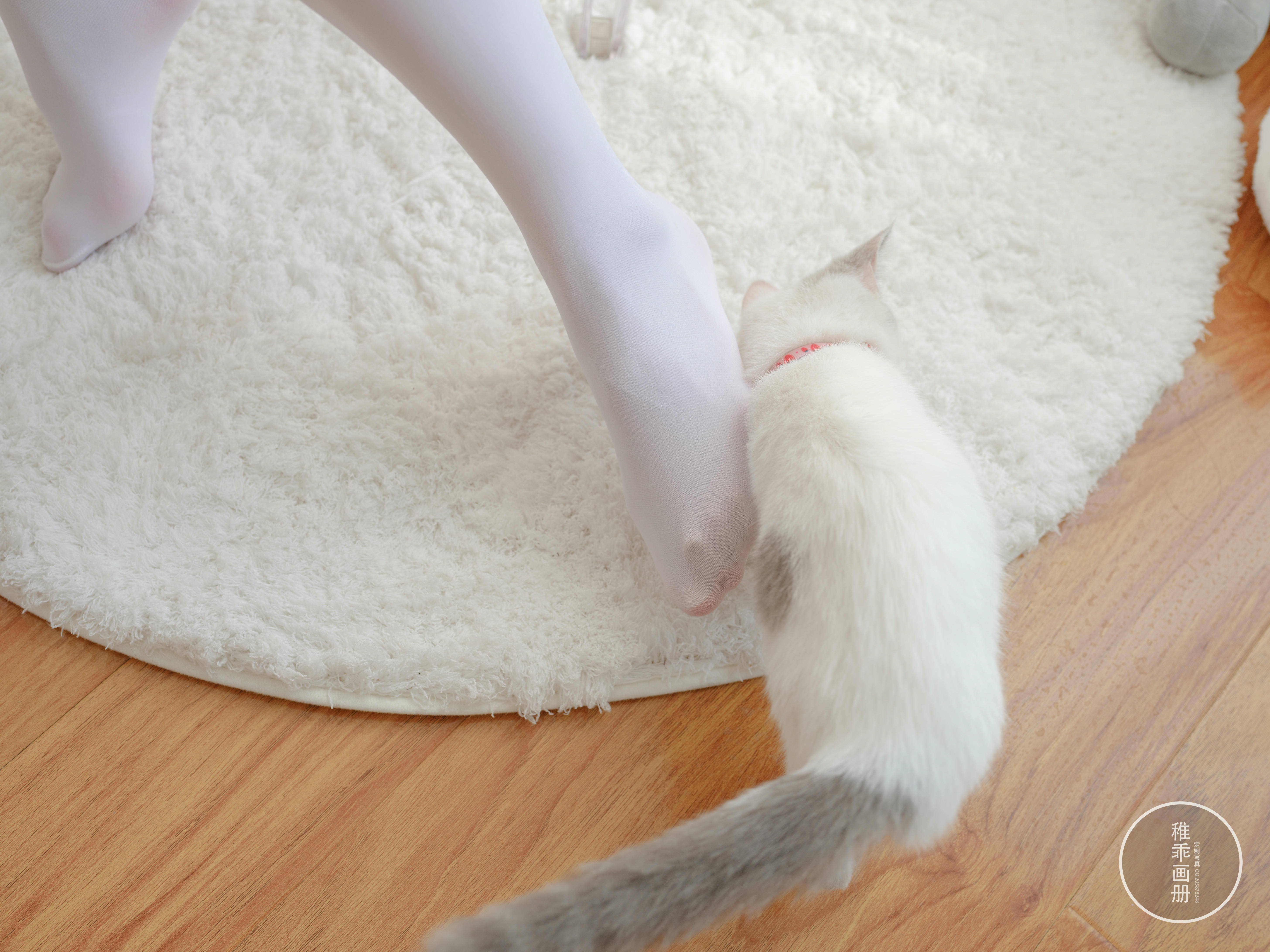 稚乖画册 NO.018 晴空 07 夜夜 白丝JK 一亿像素 [81P1V-3.22GB]_第3集