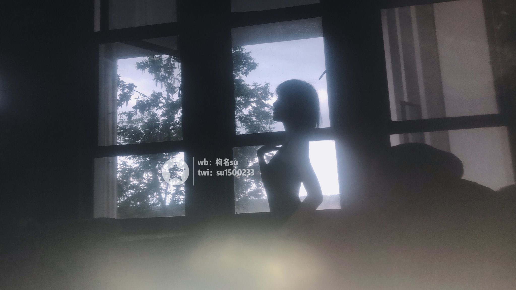 逐月SU - 推特写真杂图［421P+14V］-图包_第20集