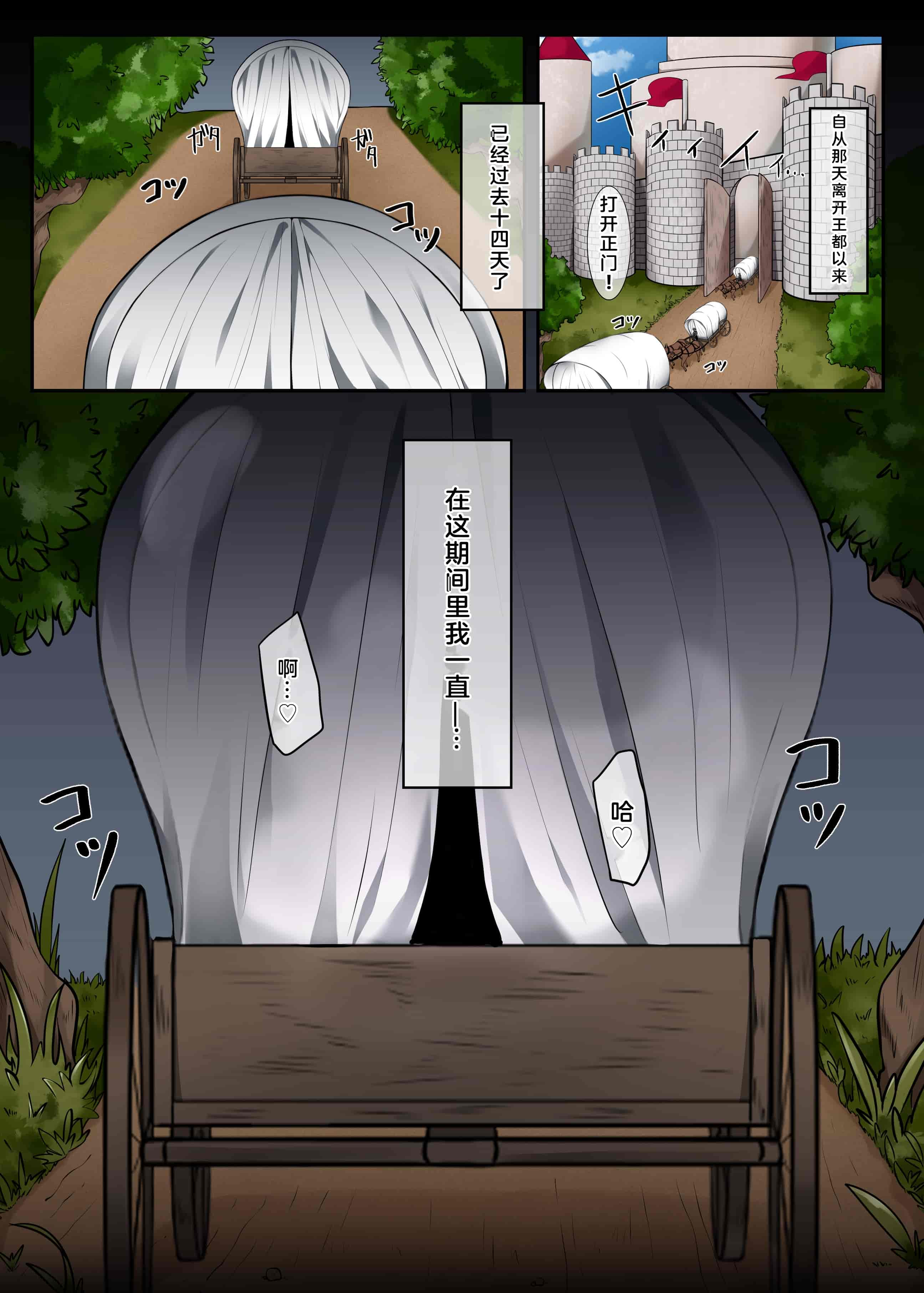 汉化版-(同人誌) [やまなし娘。] エルフの末路2～同胞は裏切られて…ハメられて…～_第1集
